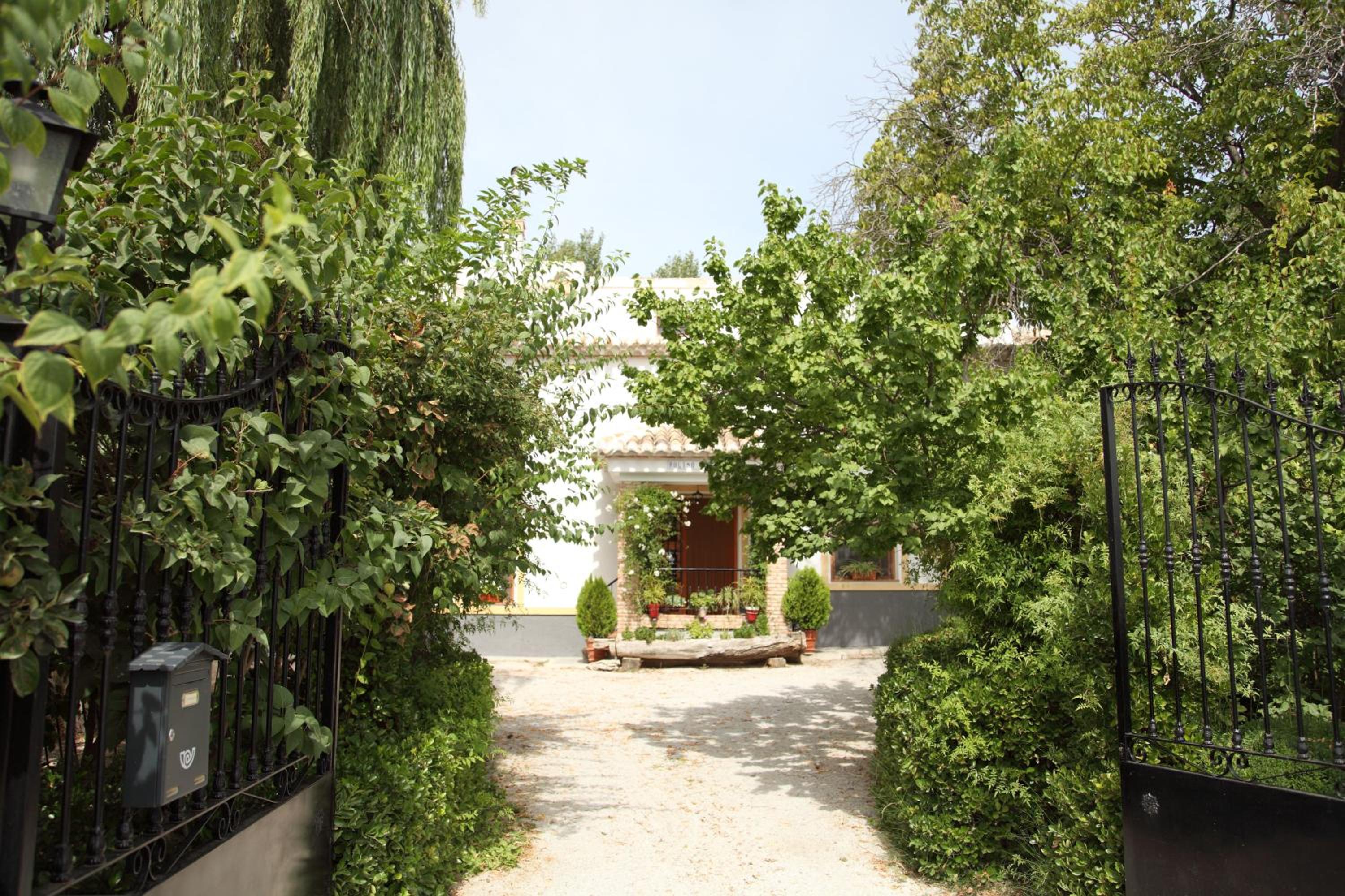 Photo 7
