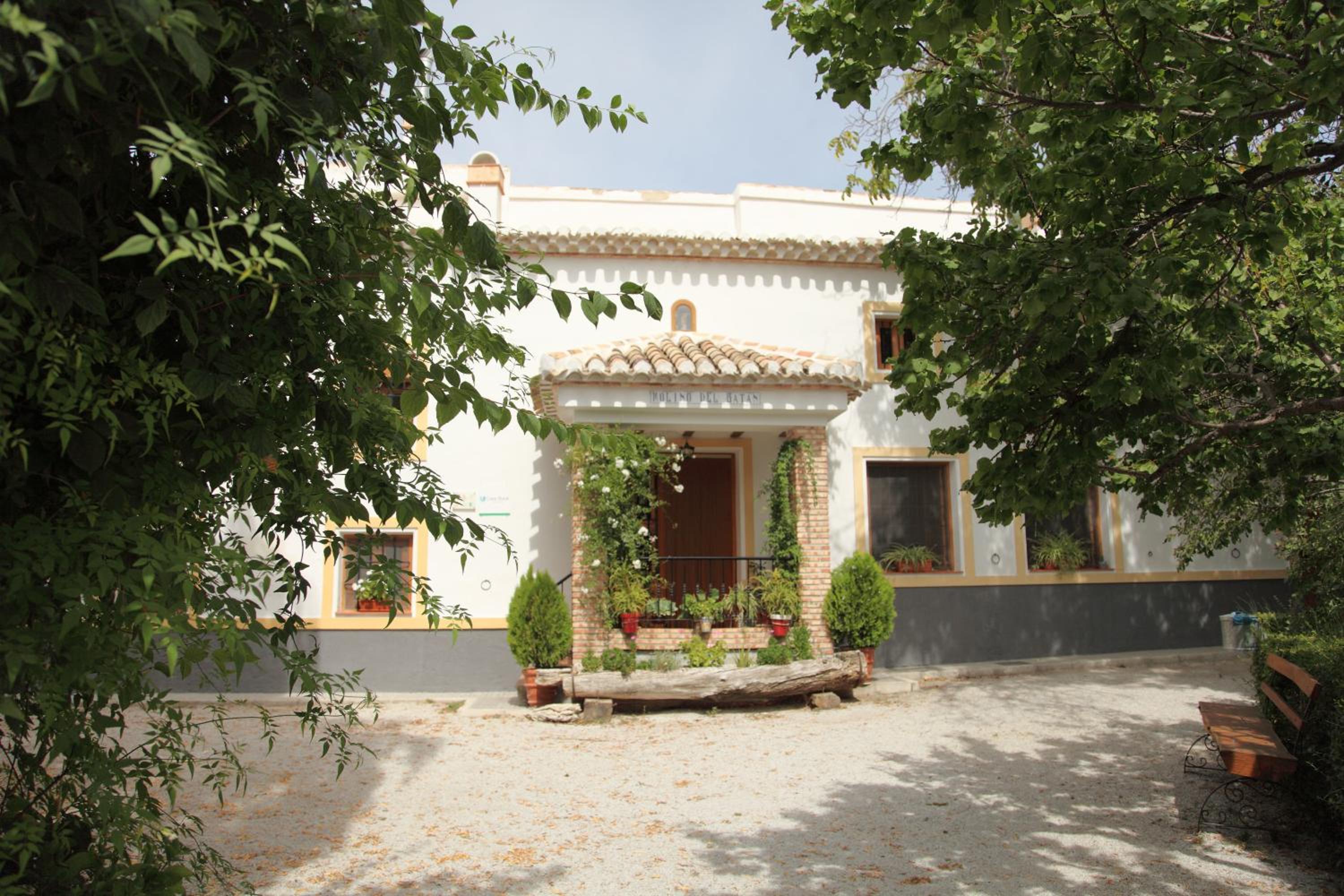 Photo 42