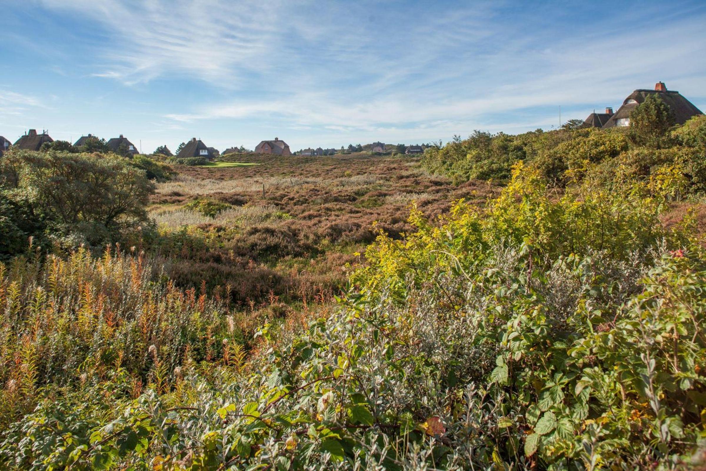Westerheide