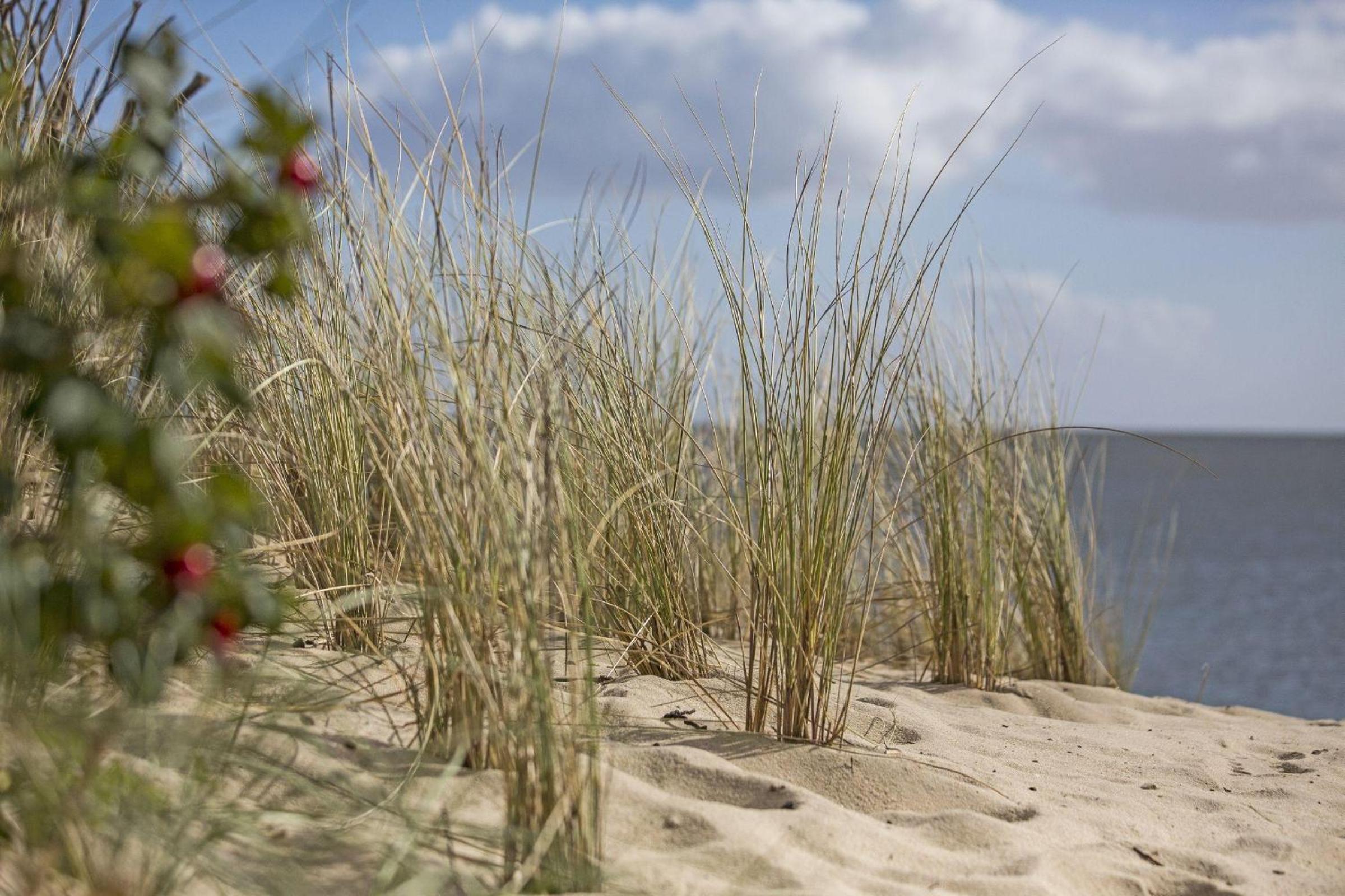 Nordmeer
