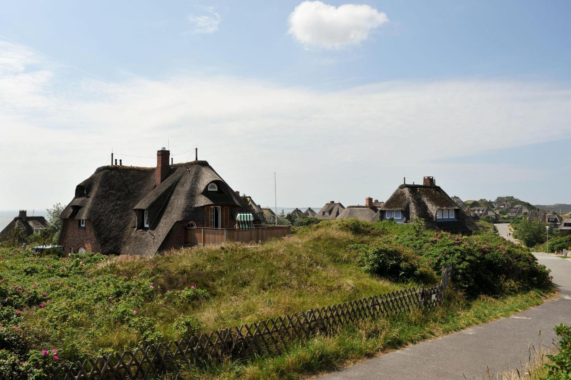 Senenskiin