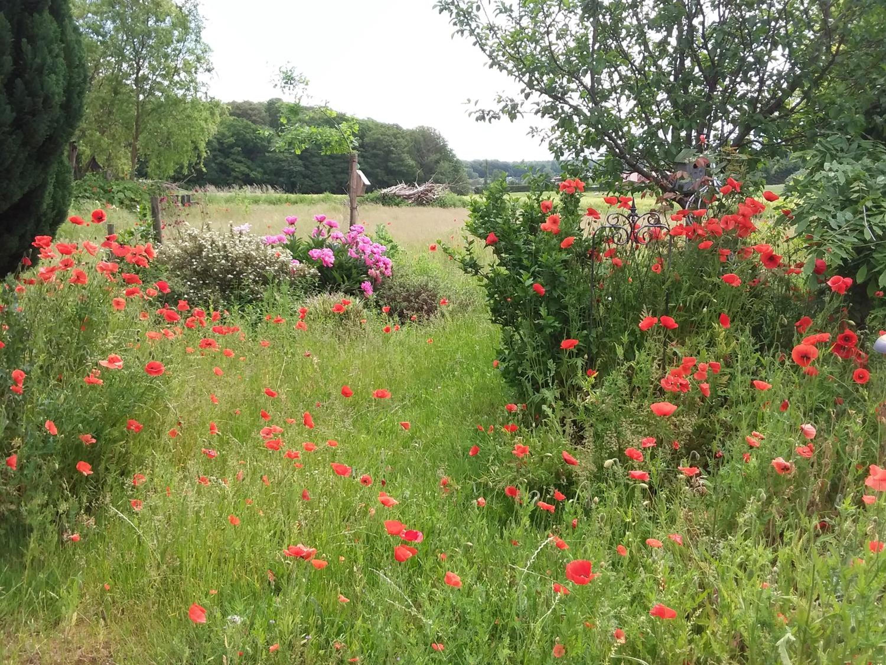 Haus Rosengarten- Ruhige Ferienwohnungen im Grünen