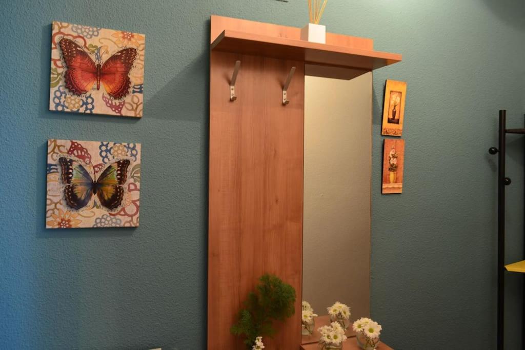 DOMUS SALAMANCA EDISSON