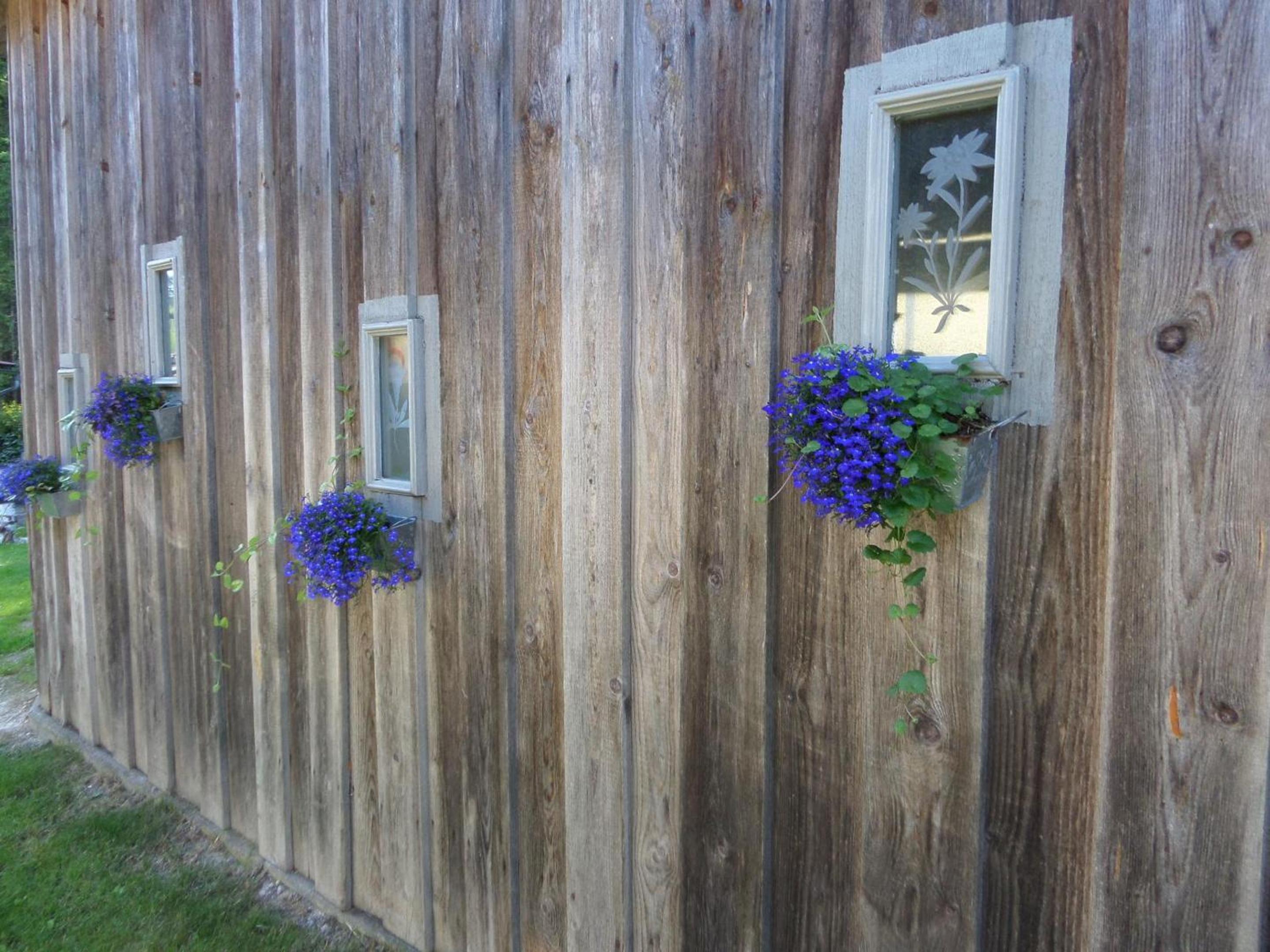 Photo 35