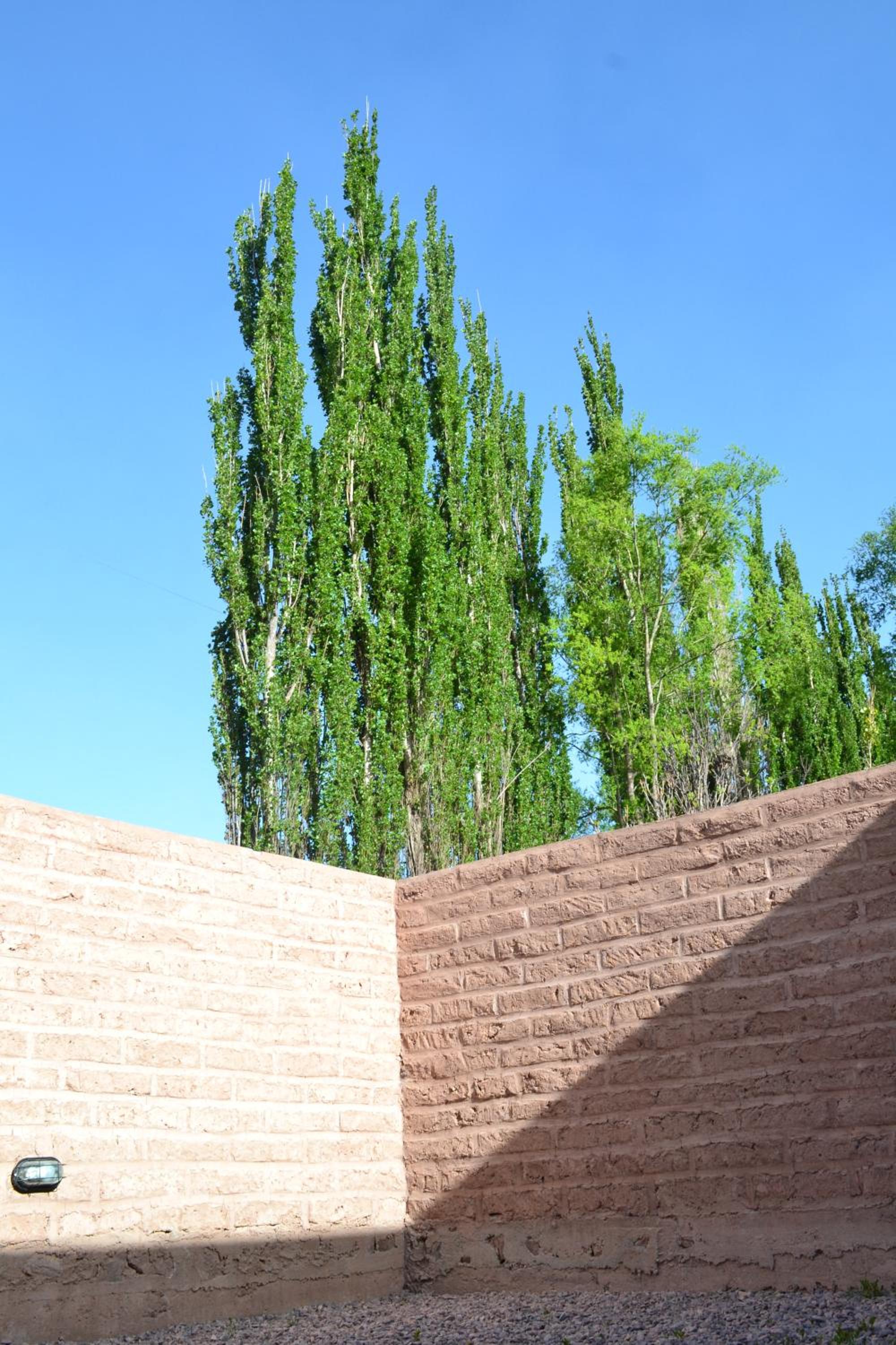 Cabañas Sixilera