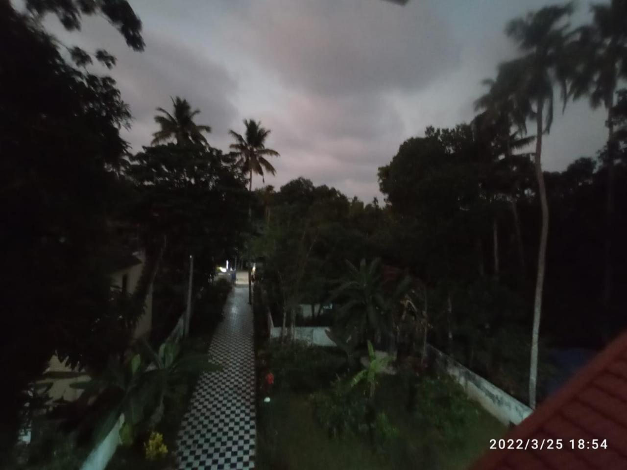 Photo 45