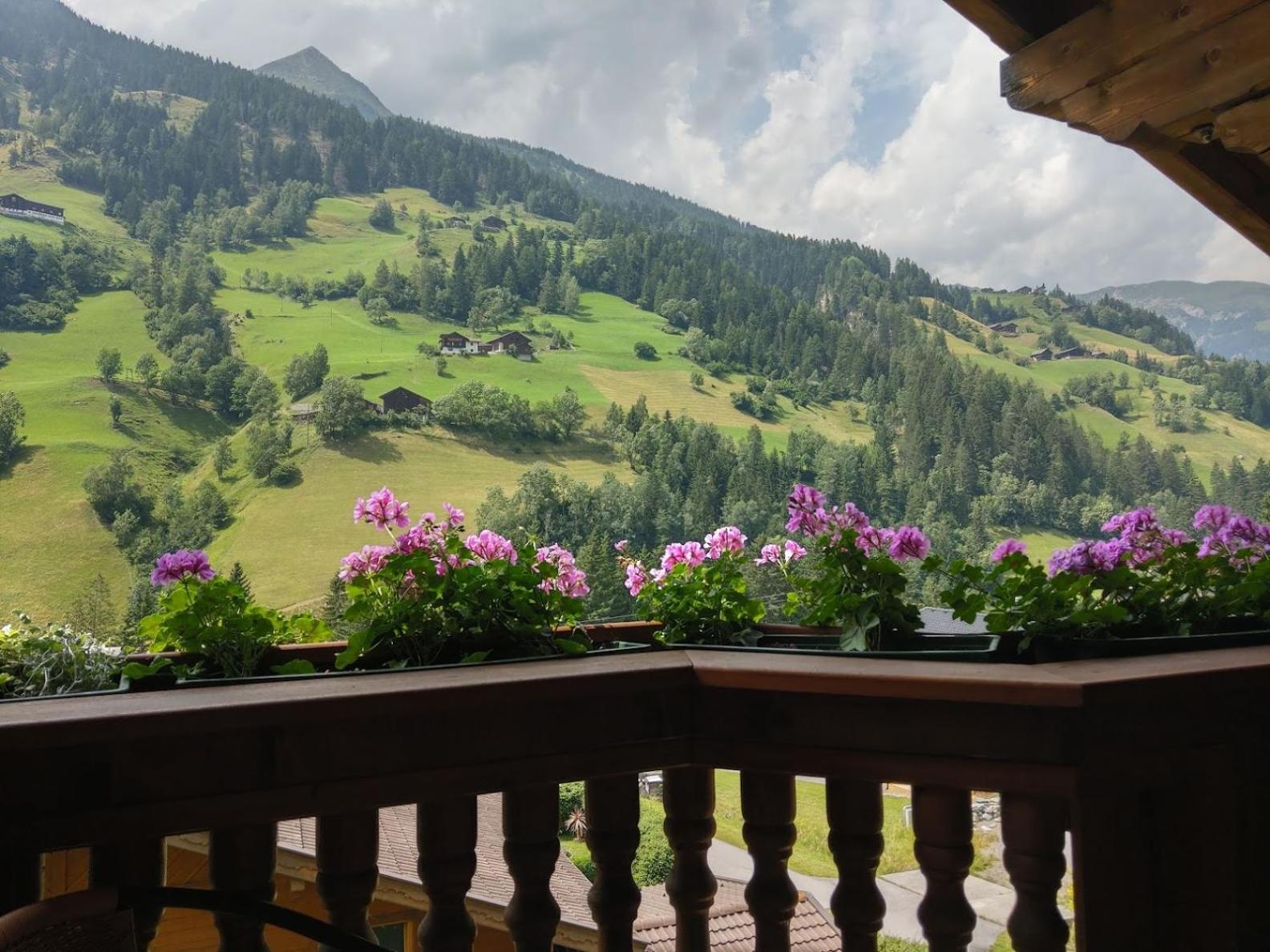 Landhaus Schober Apartments