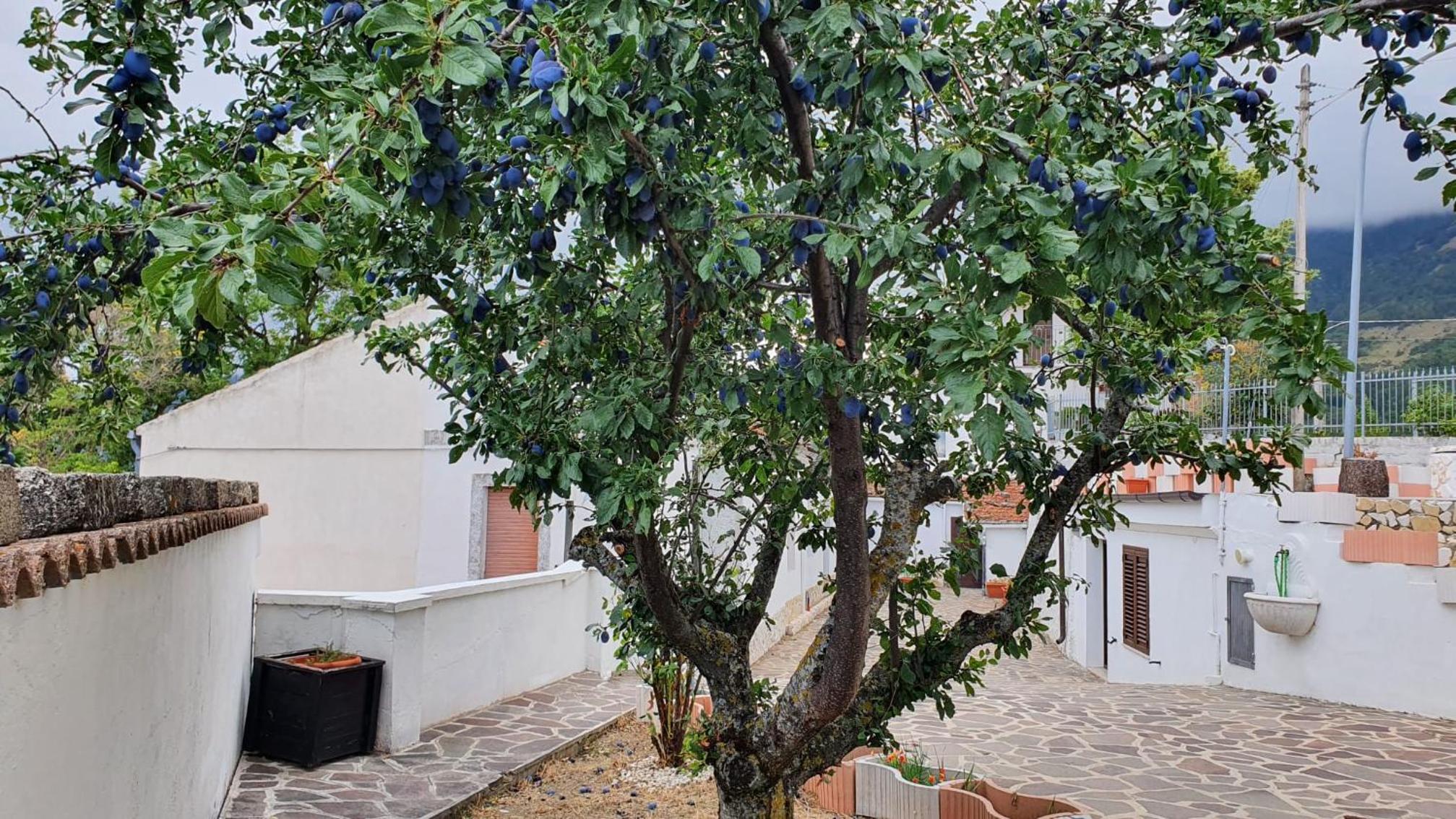 villetta indipendente con panorama da mozzafiato