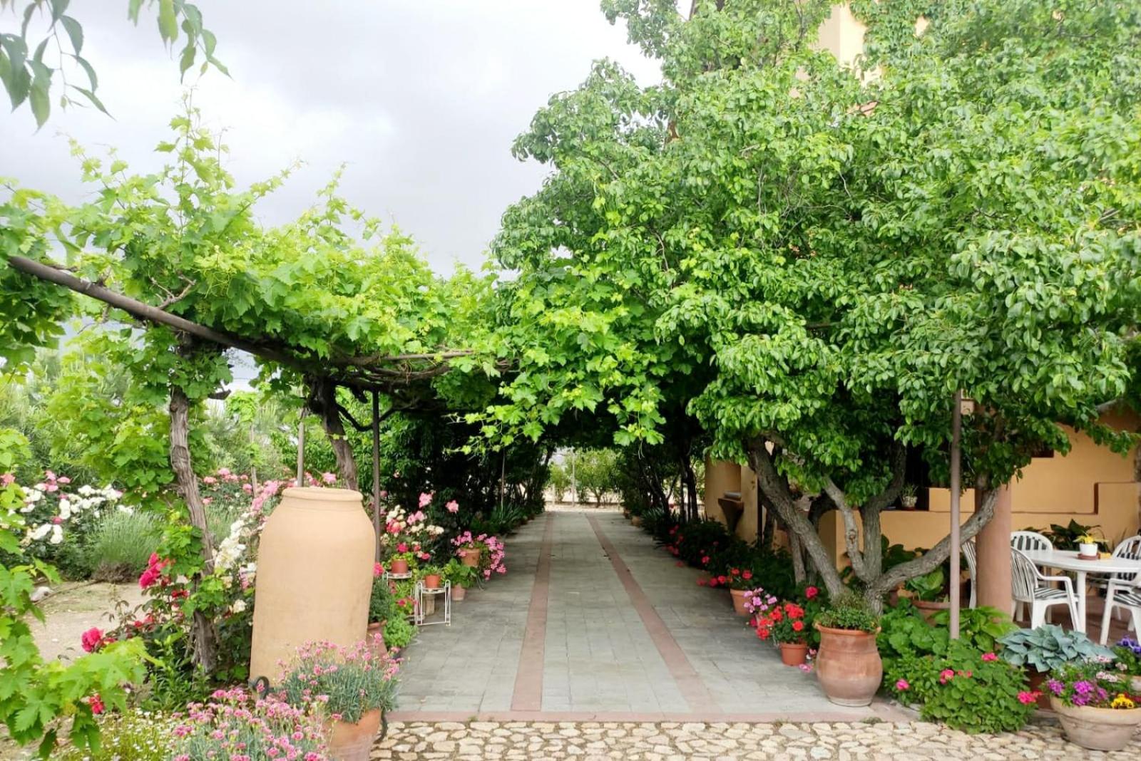 Finca La Calancha view 2