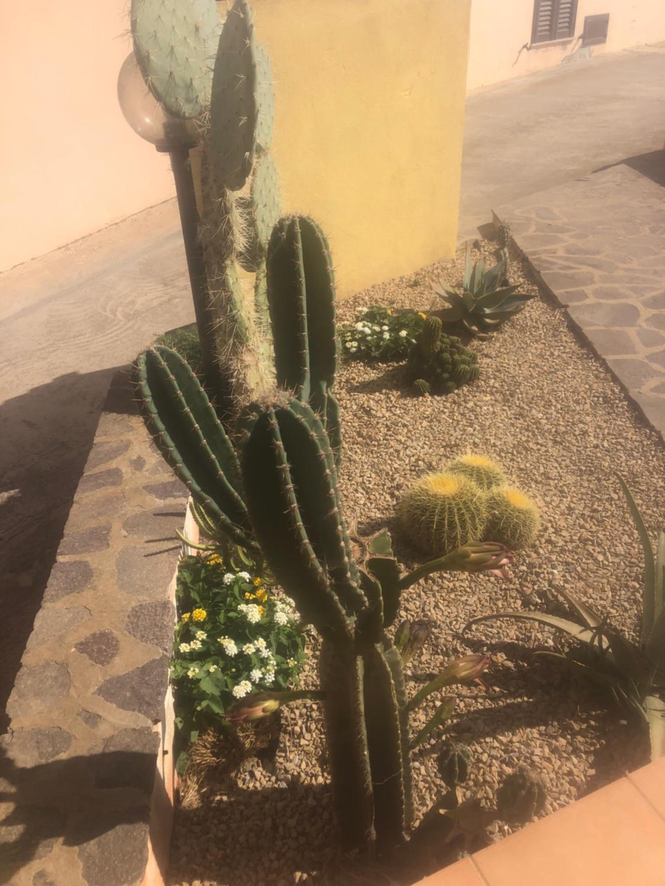 Appartamenti Perego