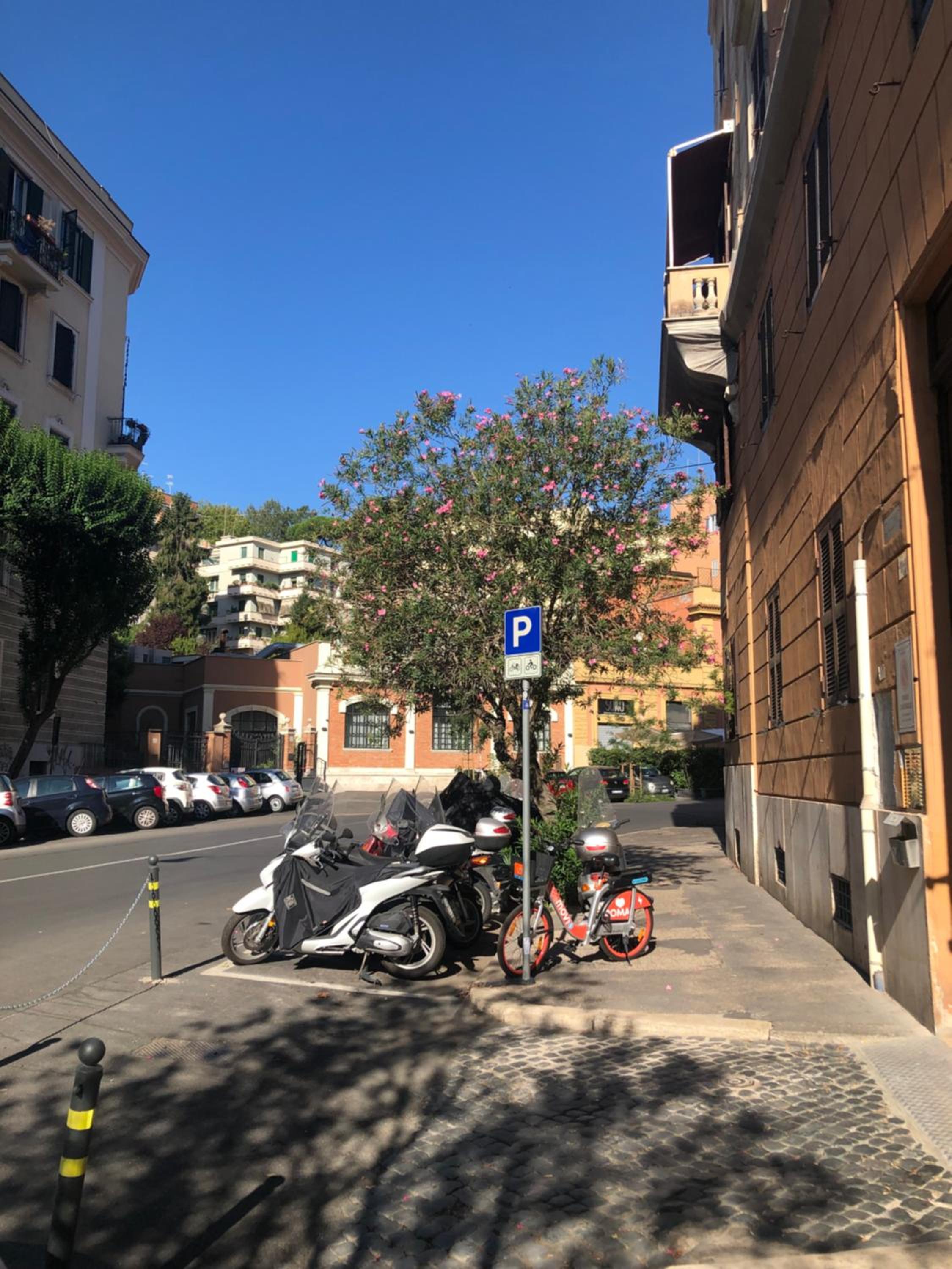 ROMAN APARTMENT in TRASTEVERE