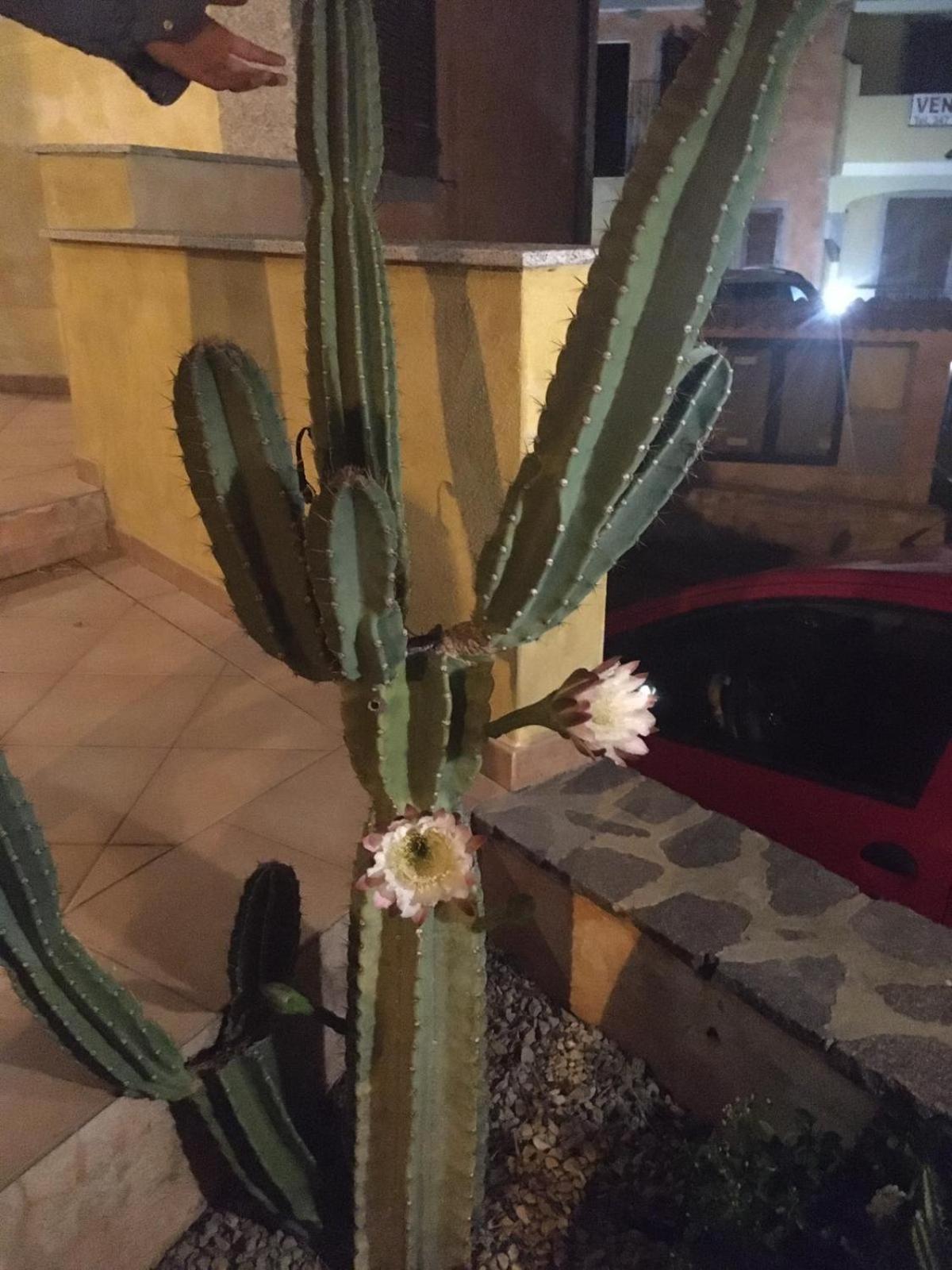 Appartamenti Perego