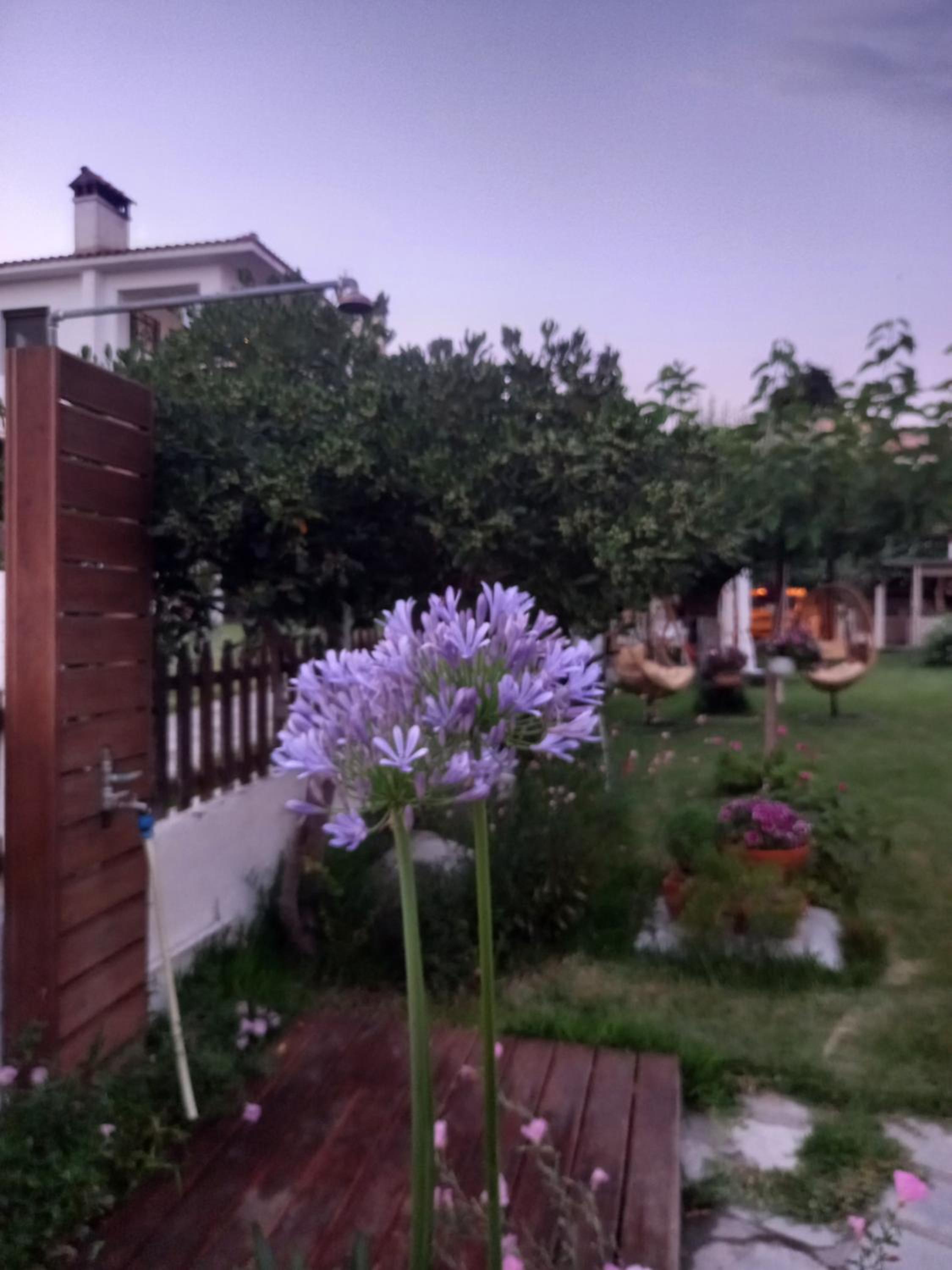 Traditional Arsanas Apartments