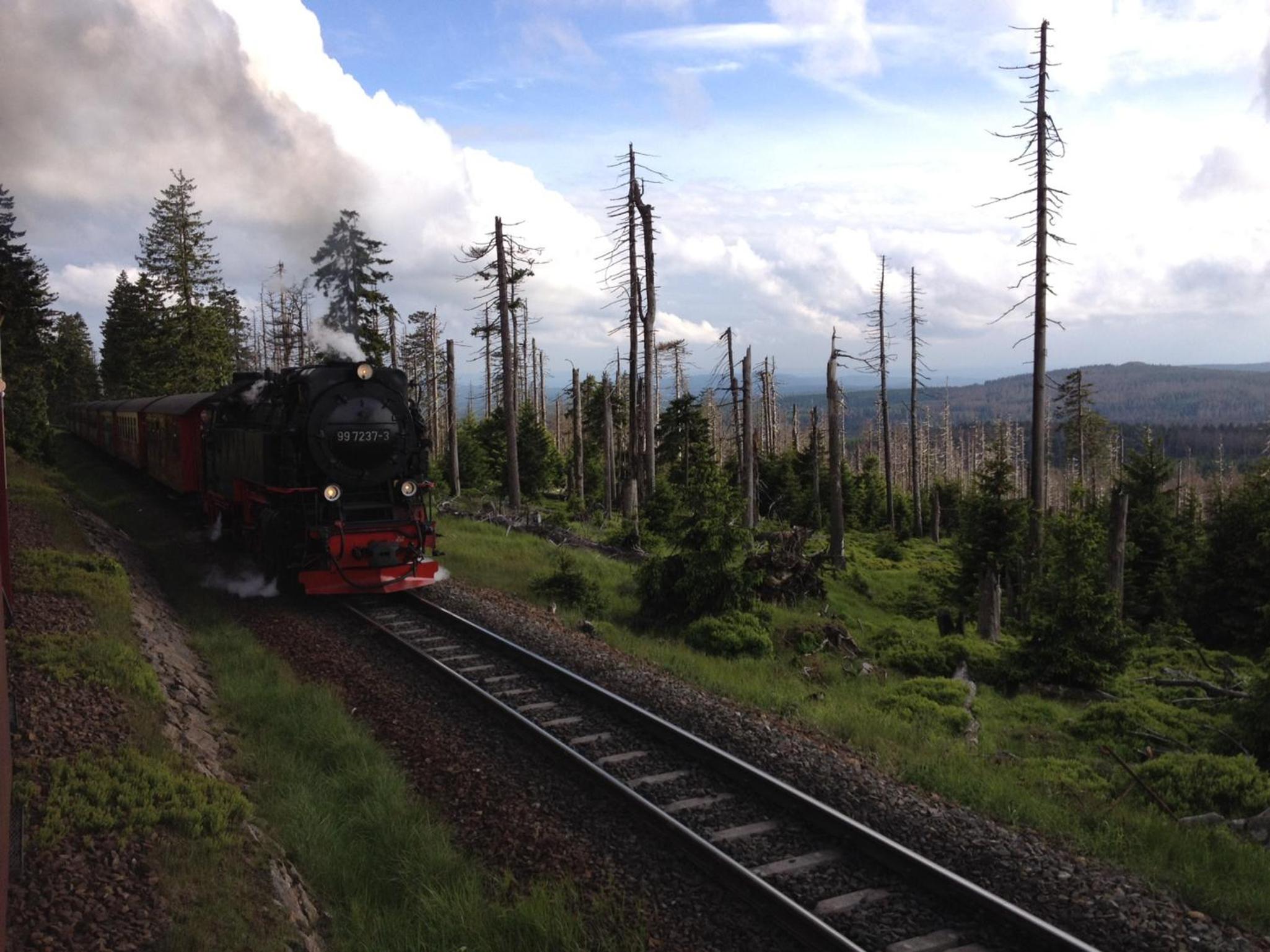Ferienapartments am Brocken view 5