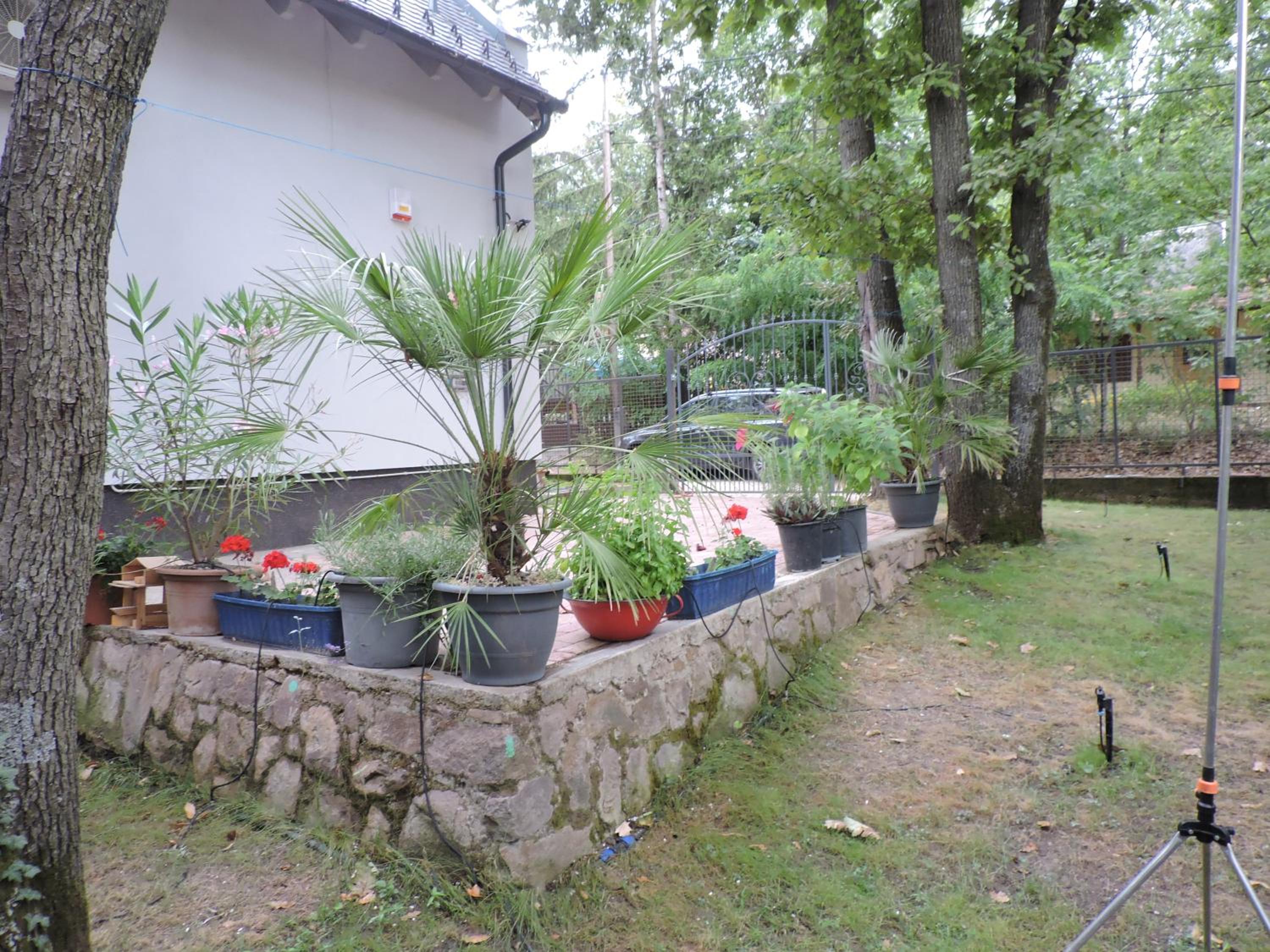 Szepezd OAK villa view 3