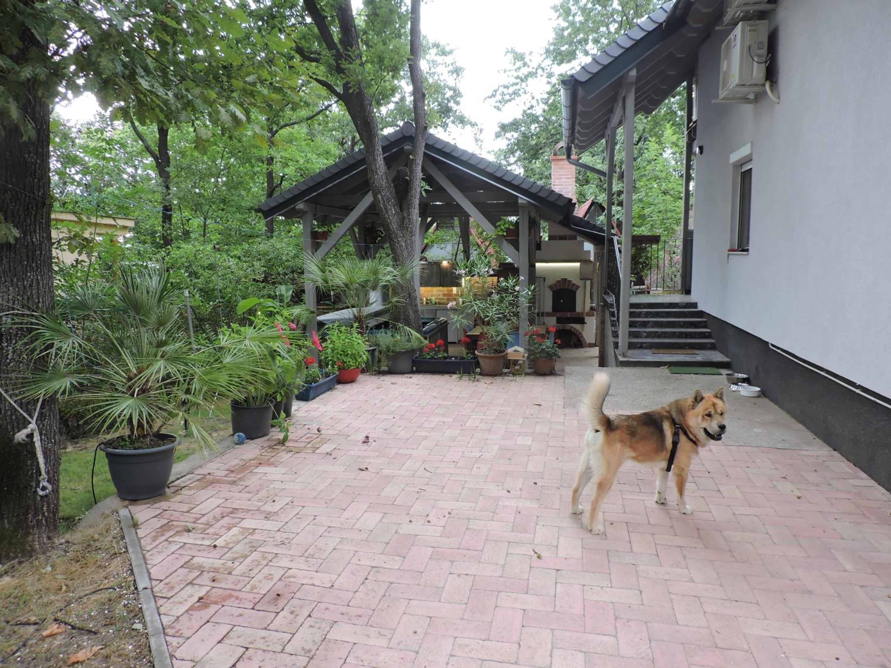 Photo 21