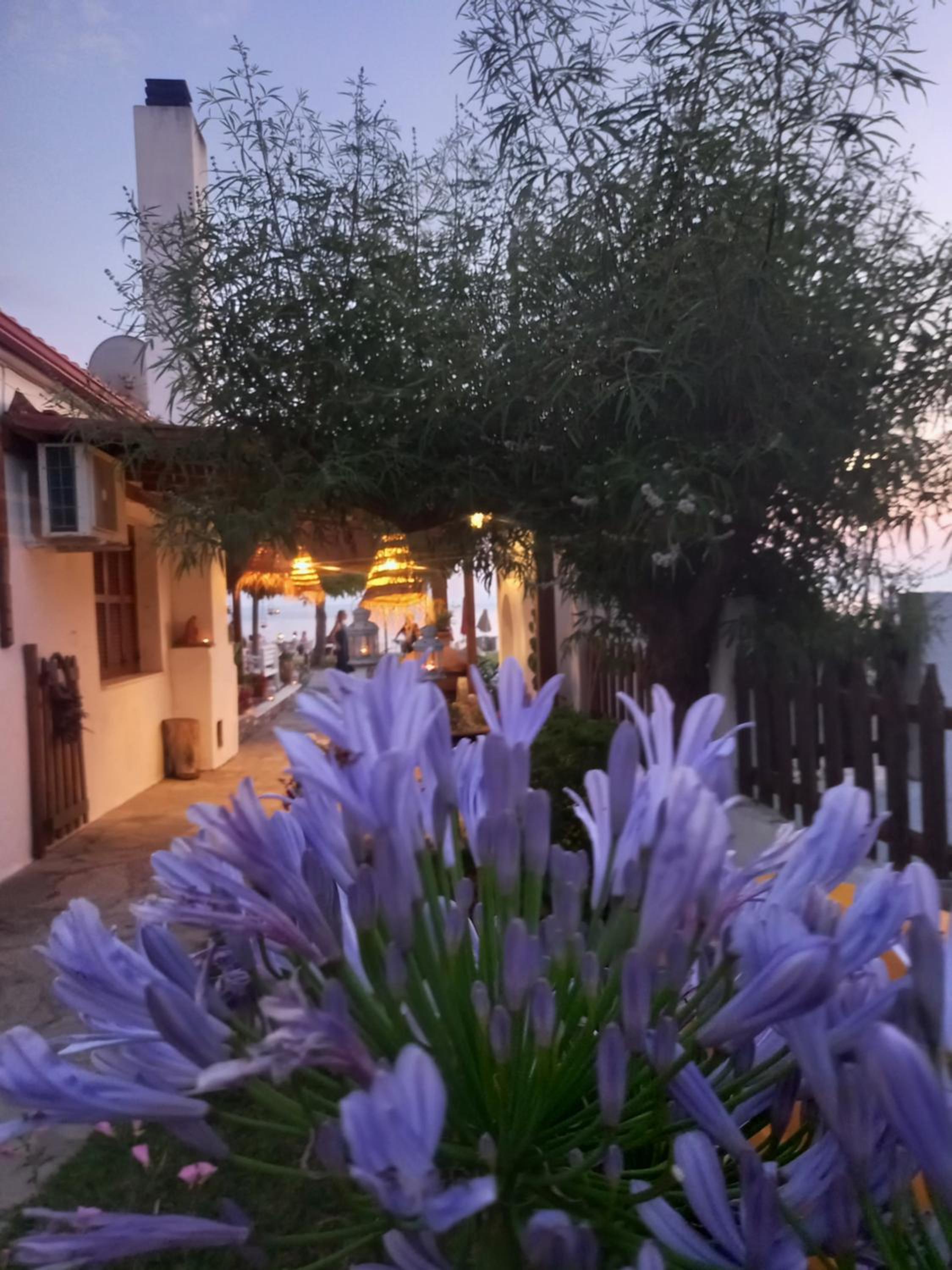 Traditional Arsanas Apartments