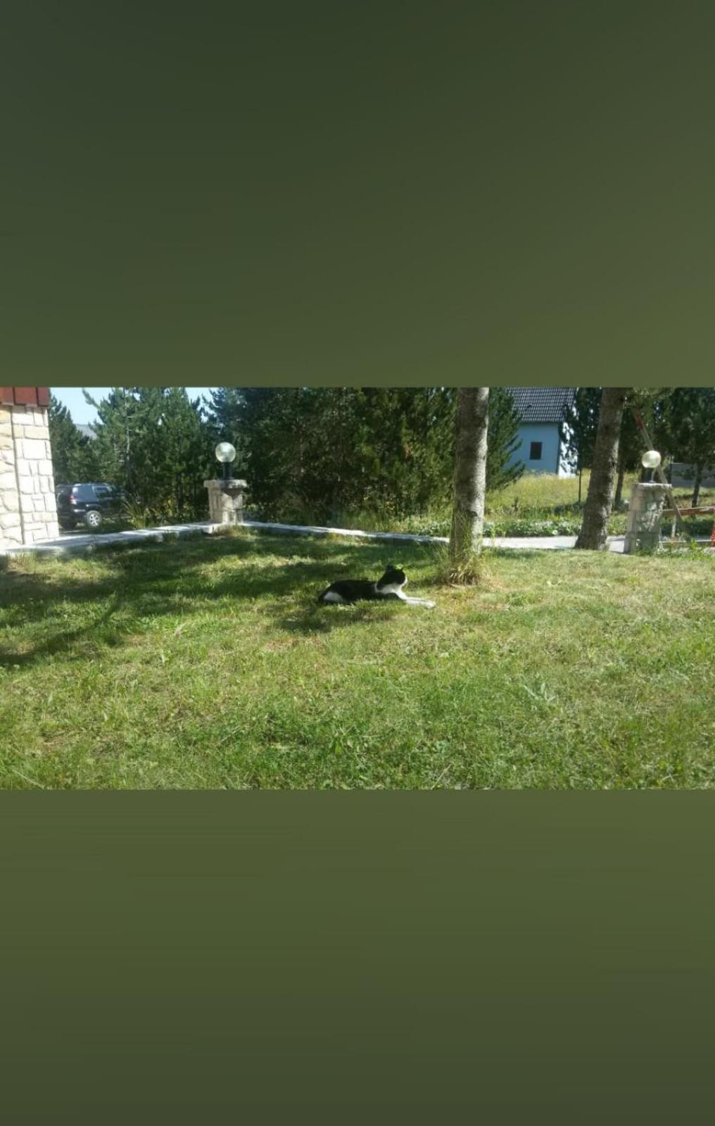 Photo 32