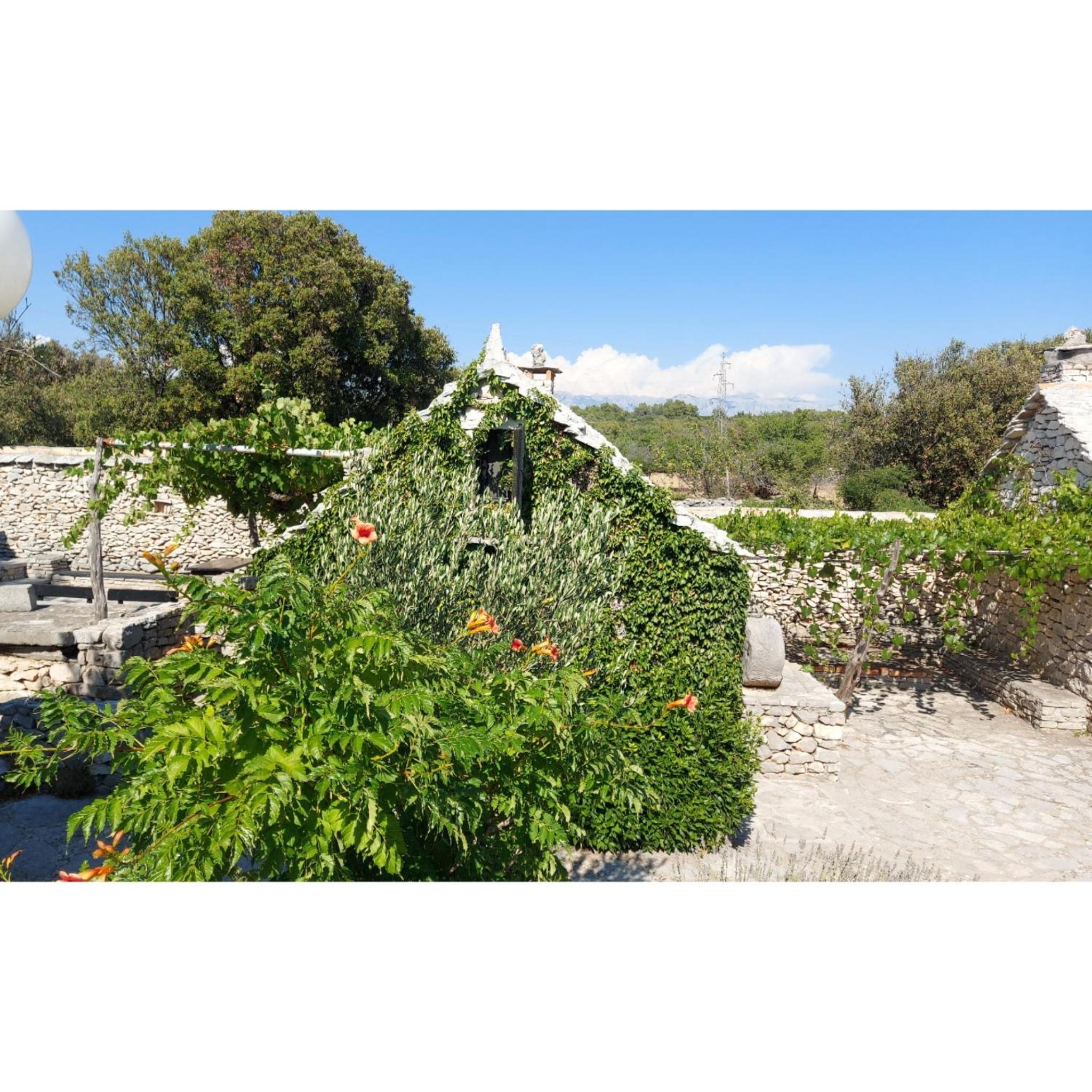 Country House Hacienda view 4