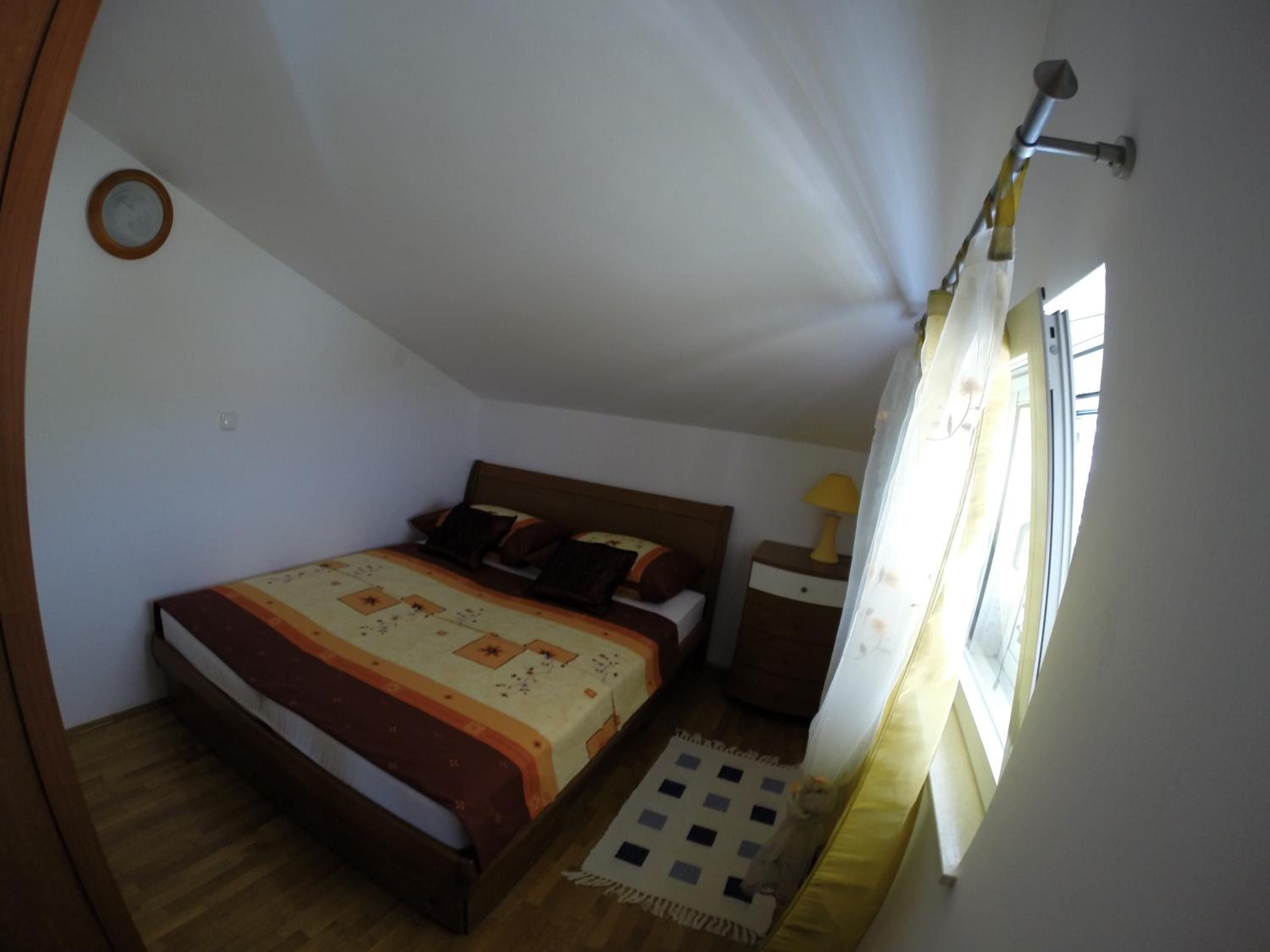 Photo 50