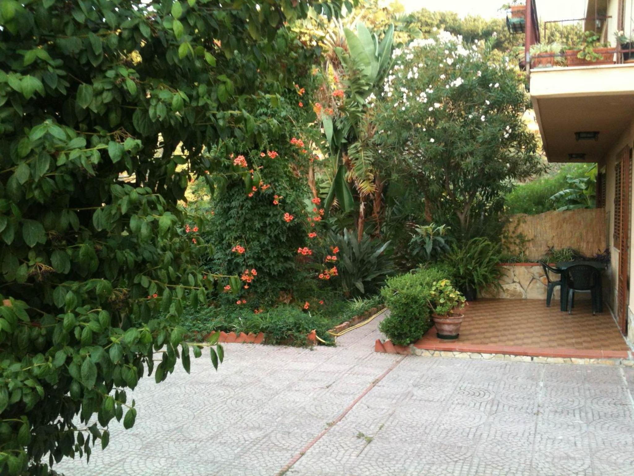 Photo 82
