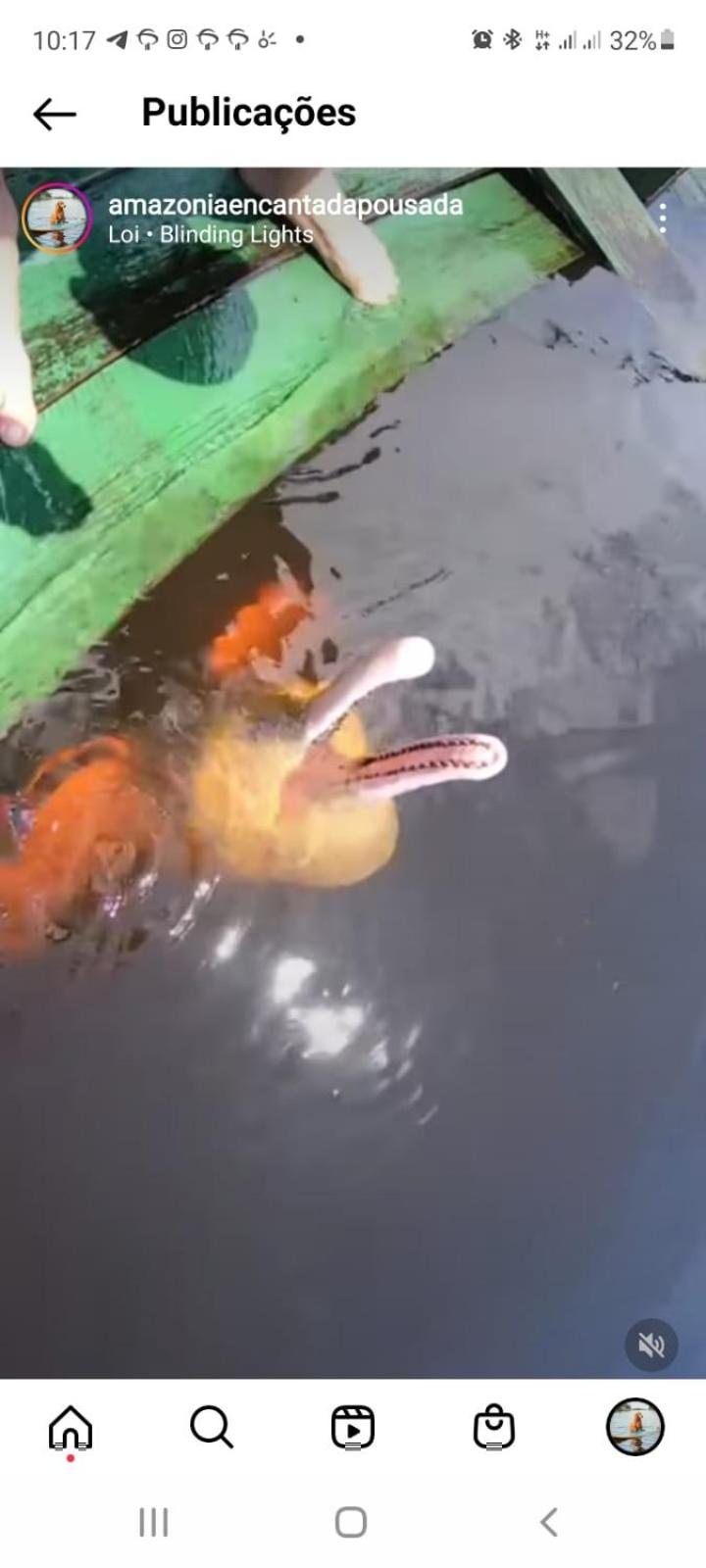 Pousada Amazônia Encantada