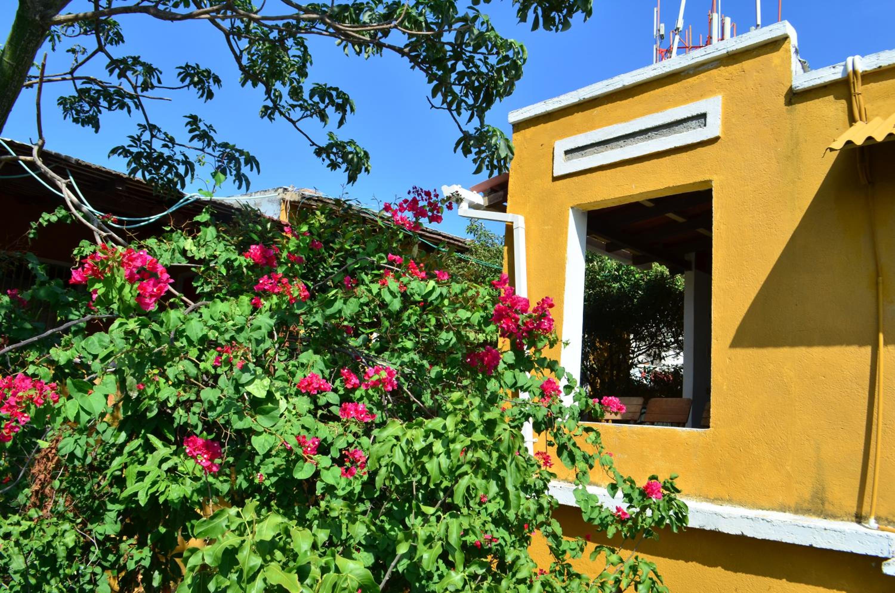 Jardin Etnobotanico Villa Ludovica