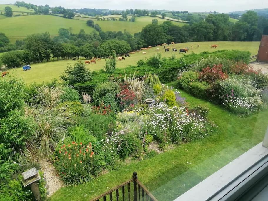 Country Home with Gardens view 5