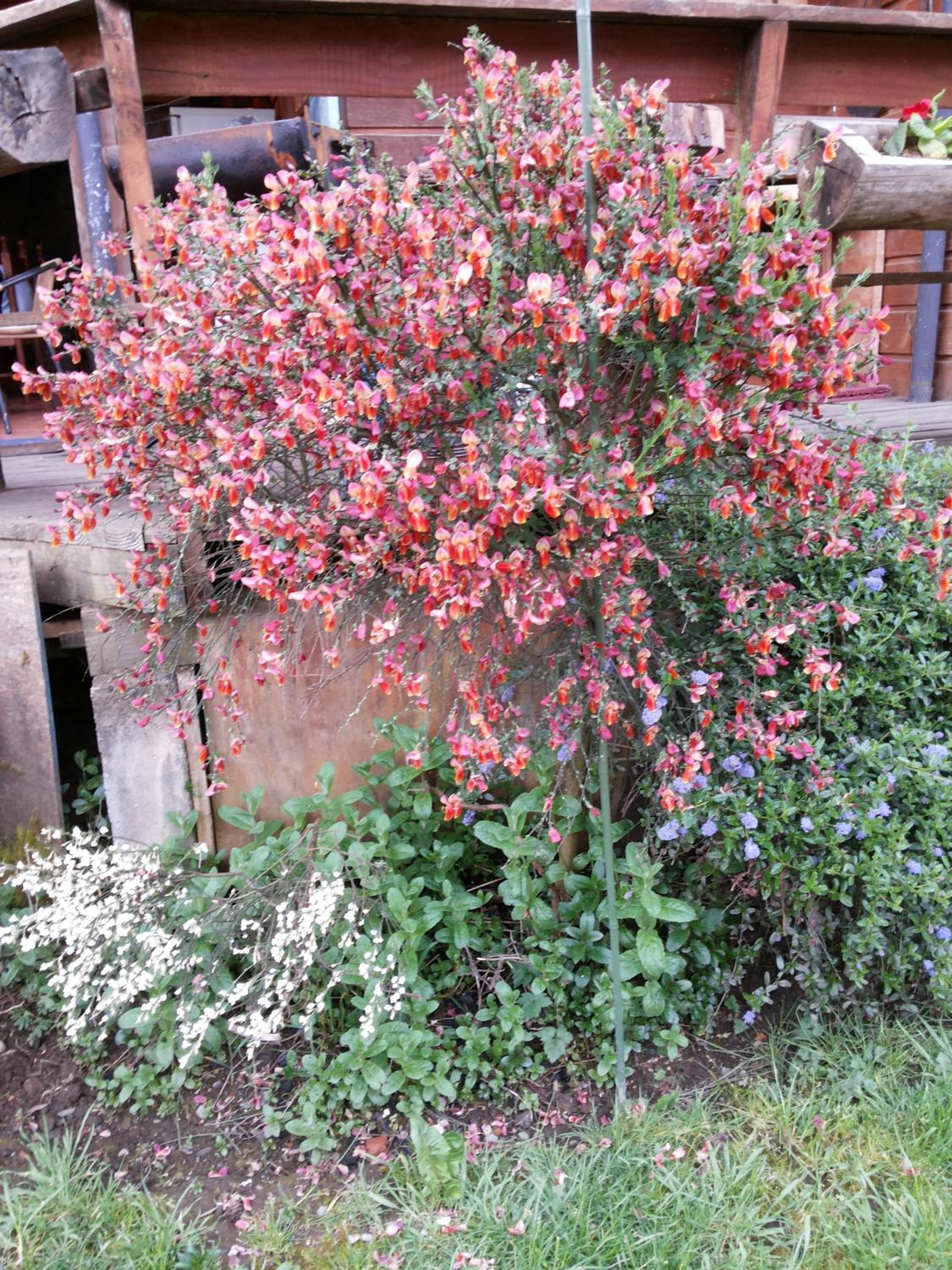 Photo 30