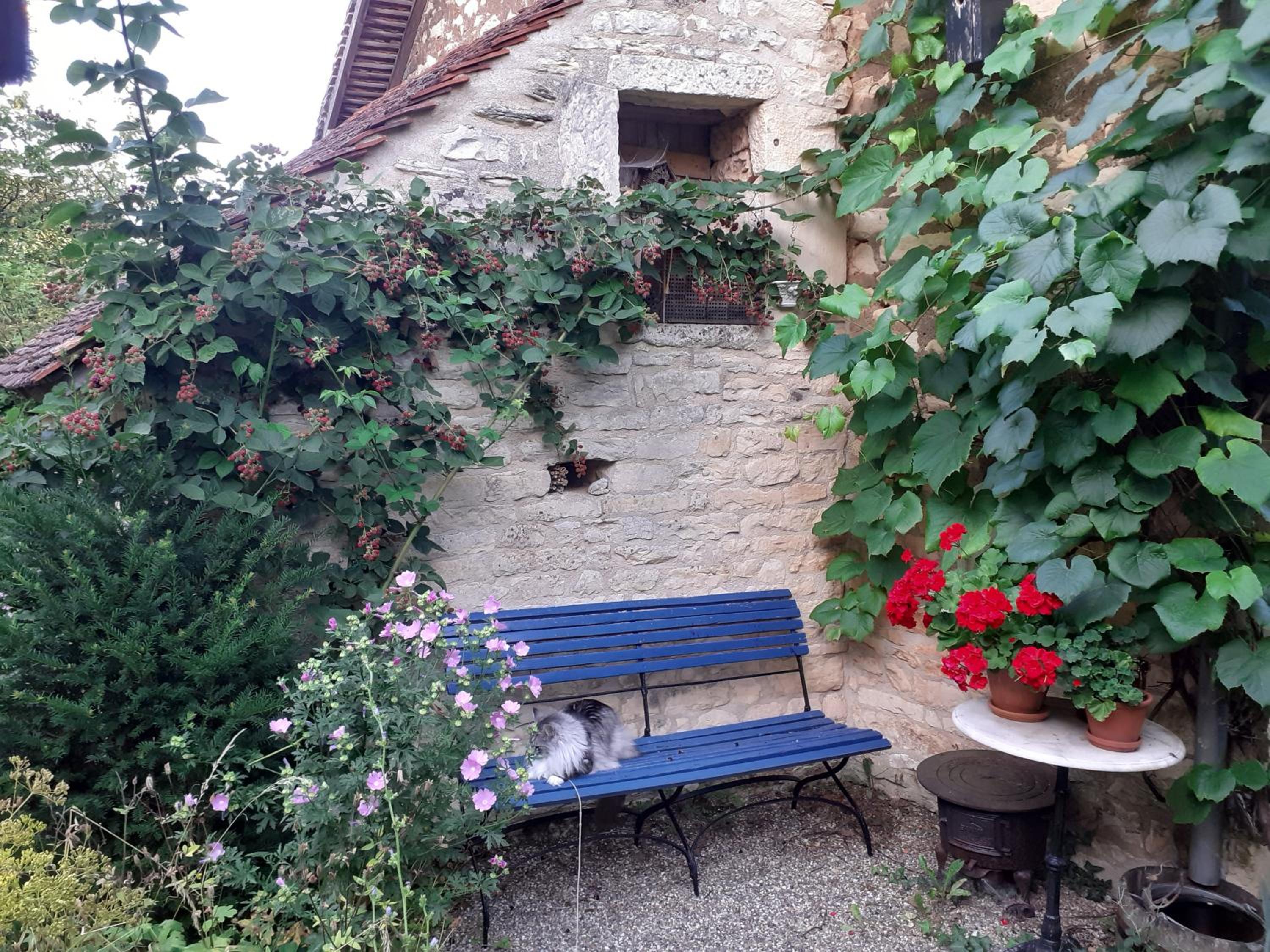 Photo 27