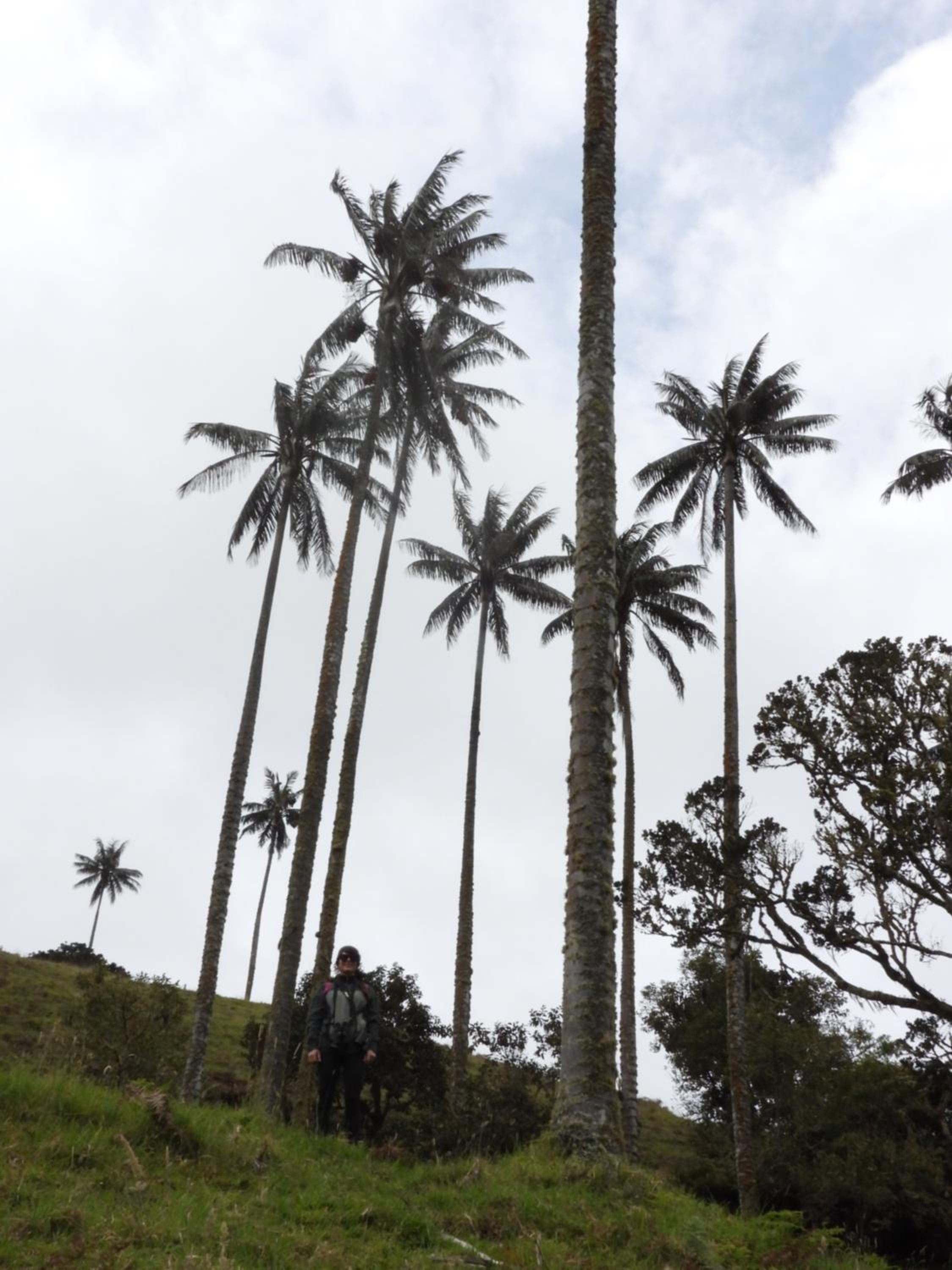 Finca TRADICIONAL EL OTOÑO