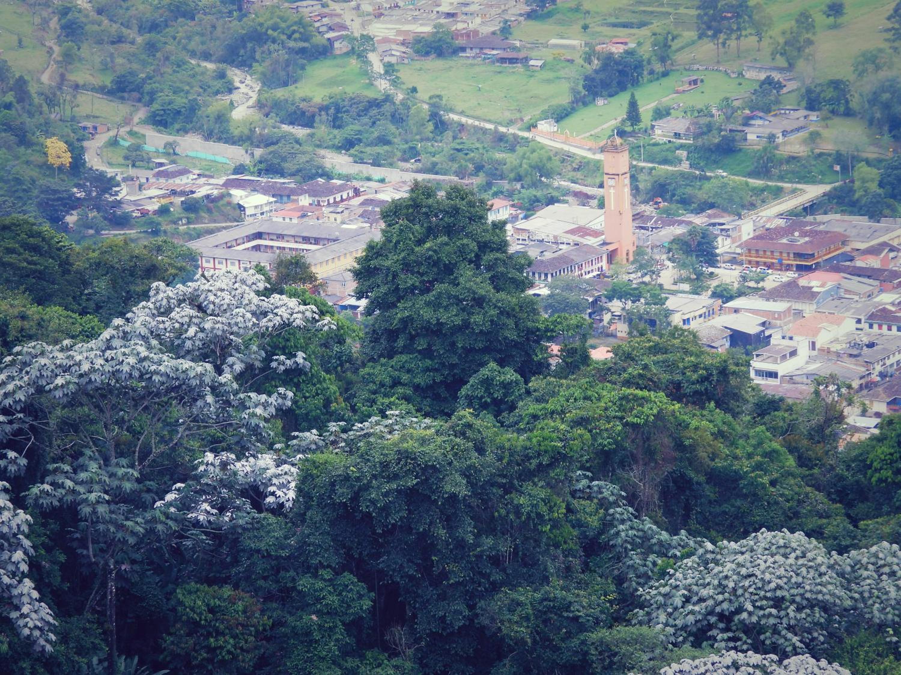 Finca TRADICIONAL EL OTOÑO