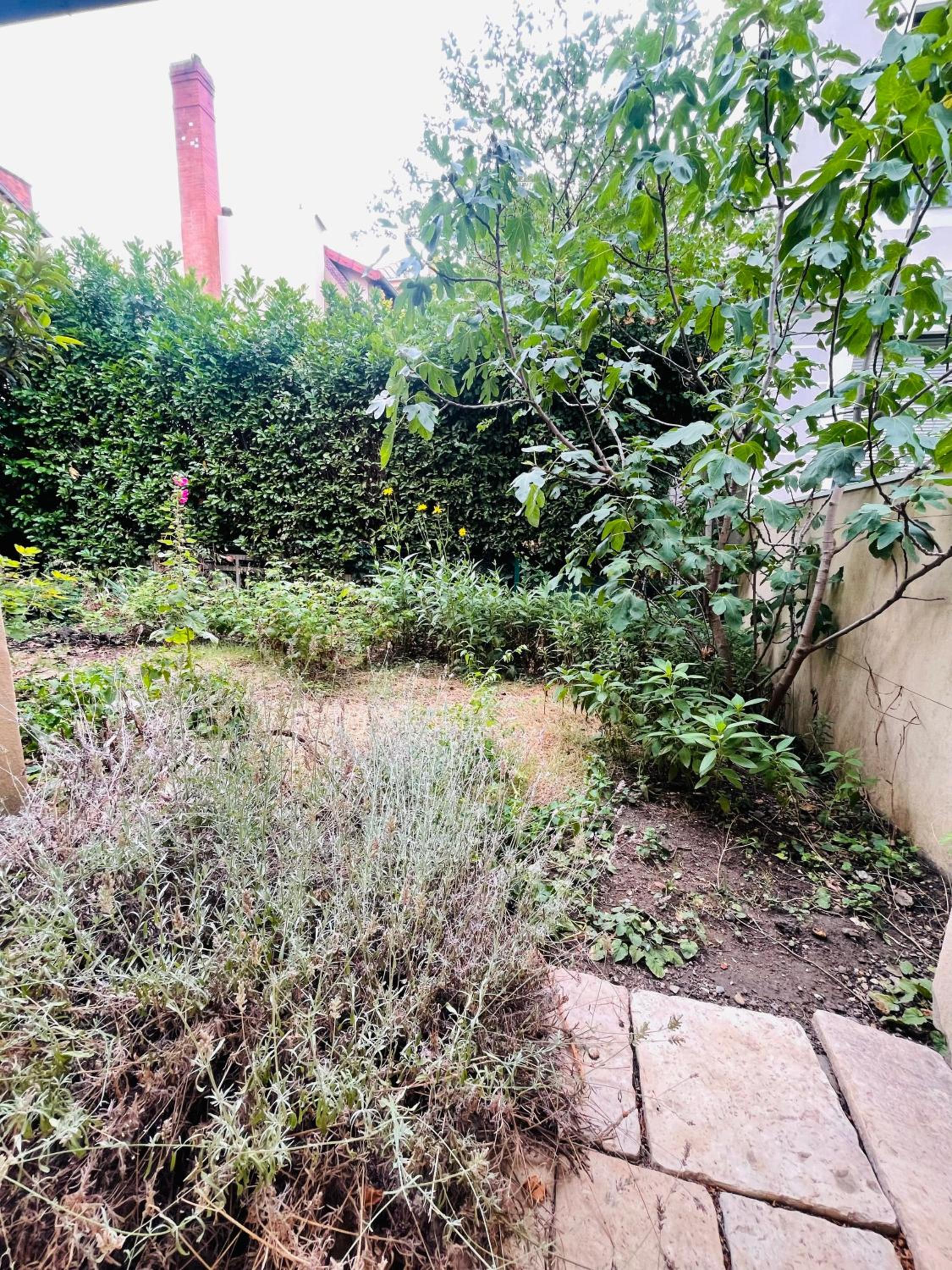 Le Jardin croix Roussien, photo 26