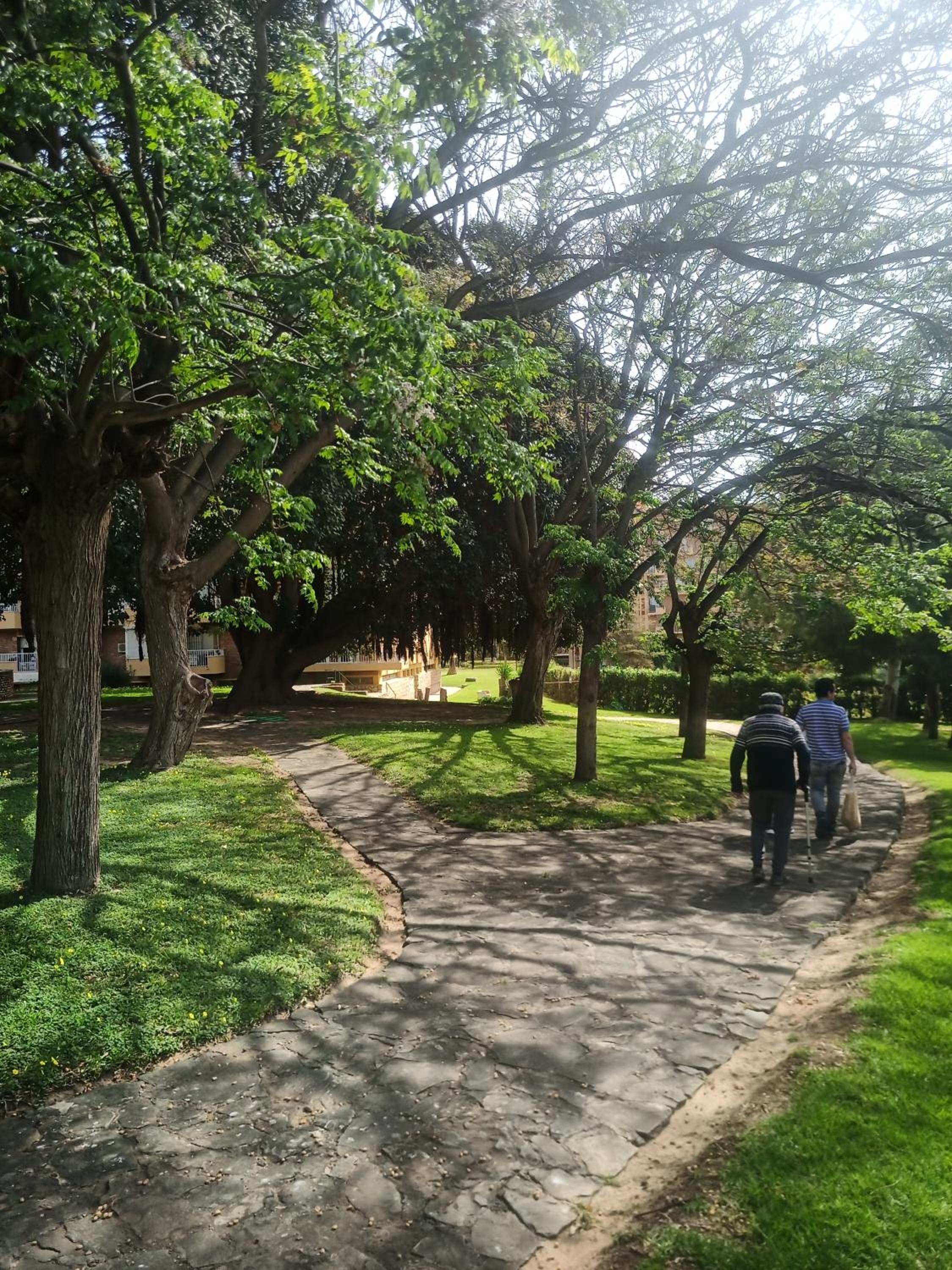 Photo 32