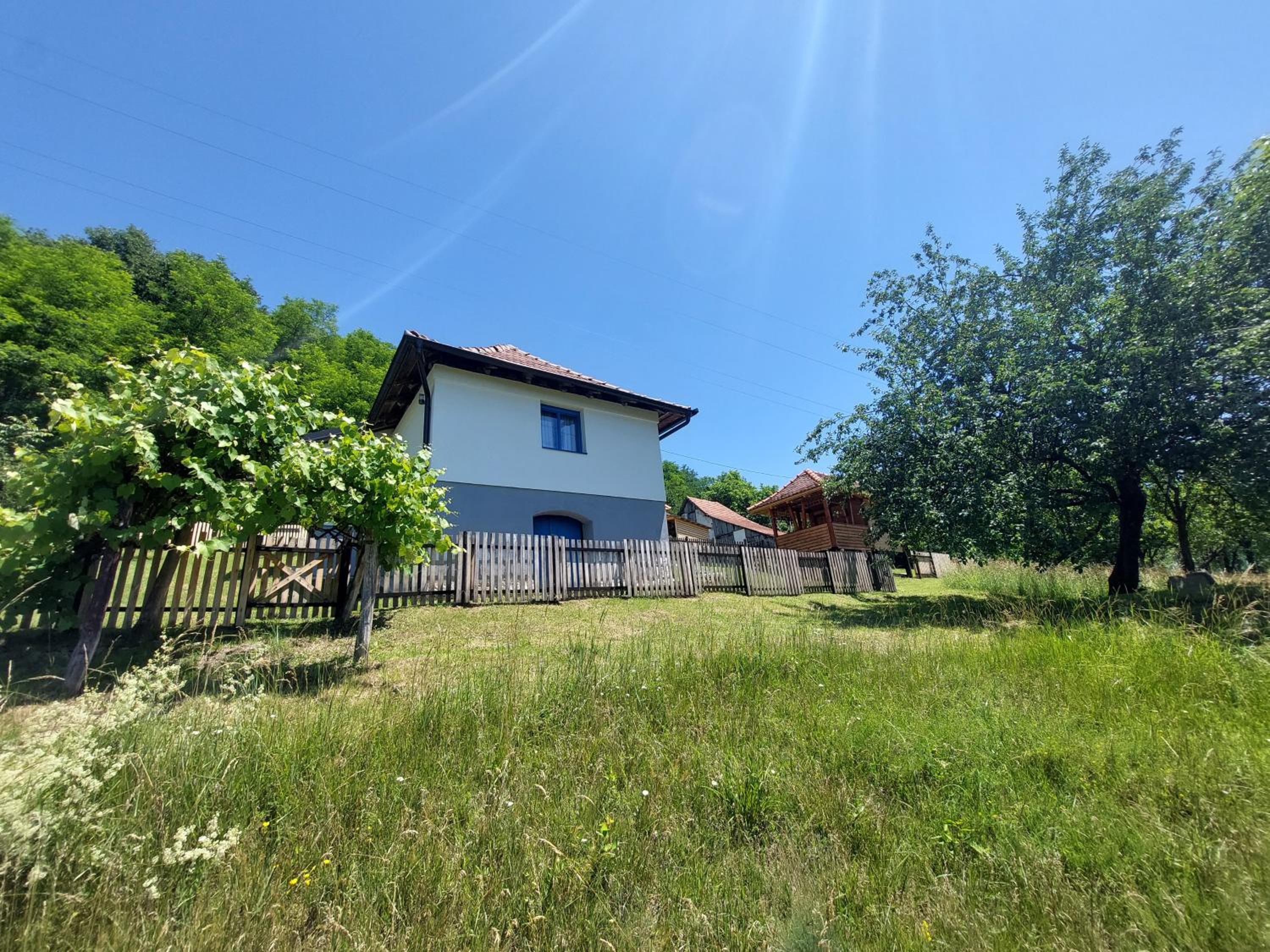Photo 21