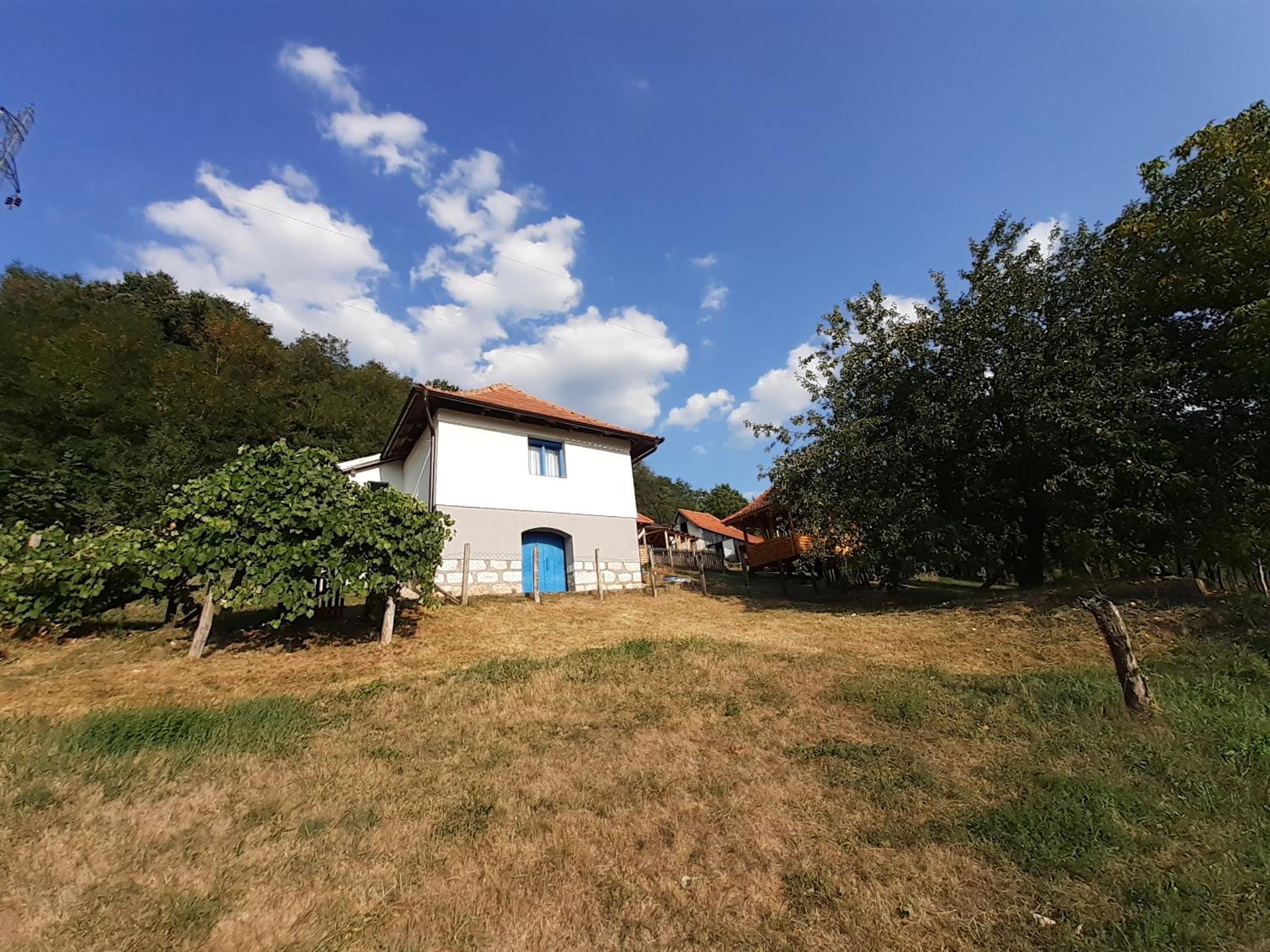 Photo 25