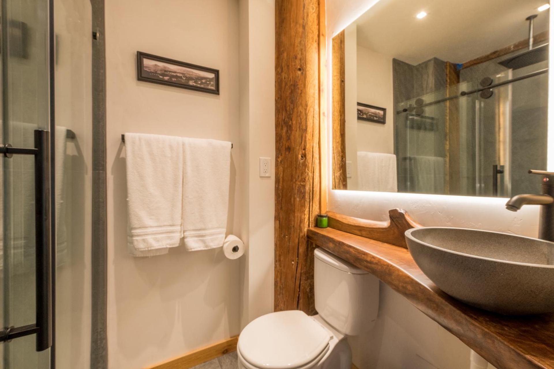 Bear Lodge with private Pool, Hottub, and Sauna! - Property Image 11