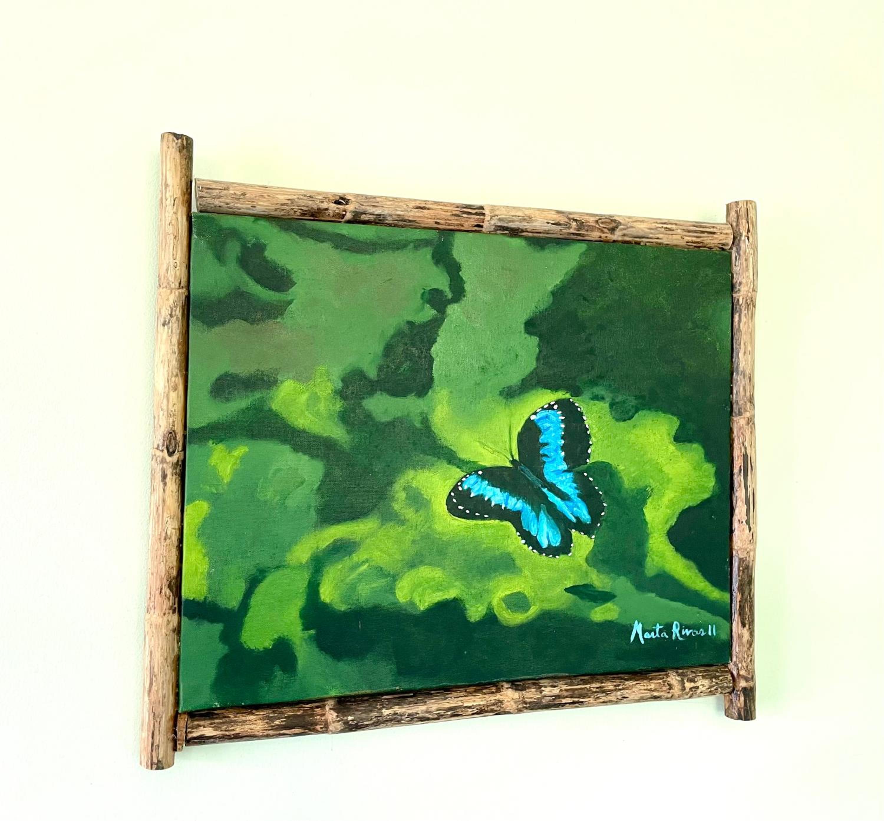 Rinconcito Verde