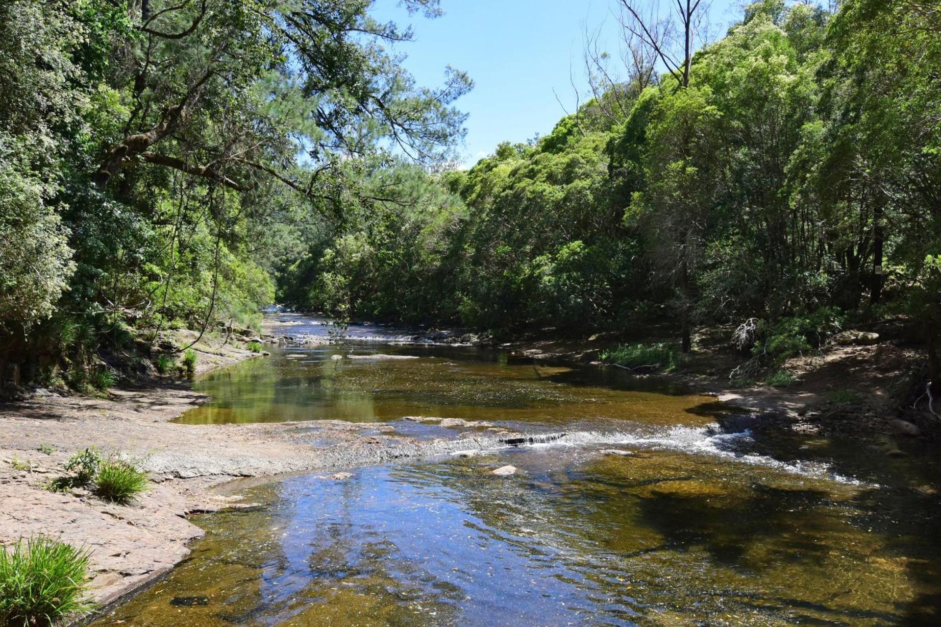 Rainforest River Retreat Kangaroo Valley