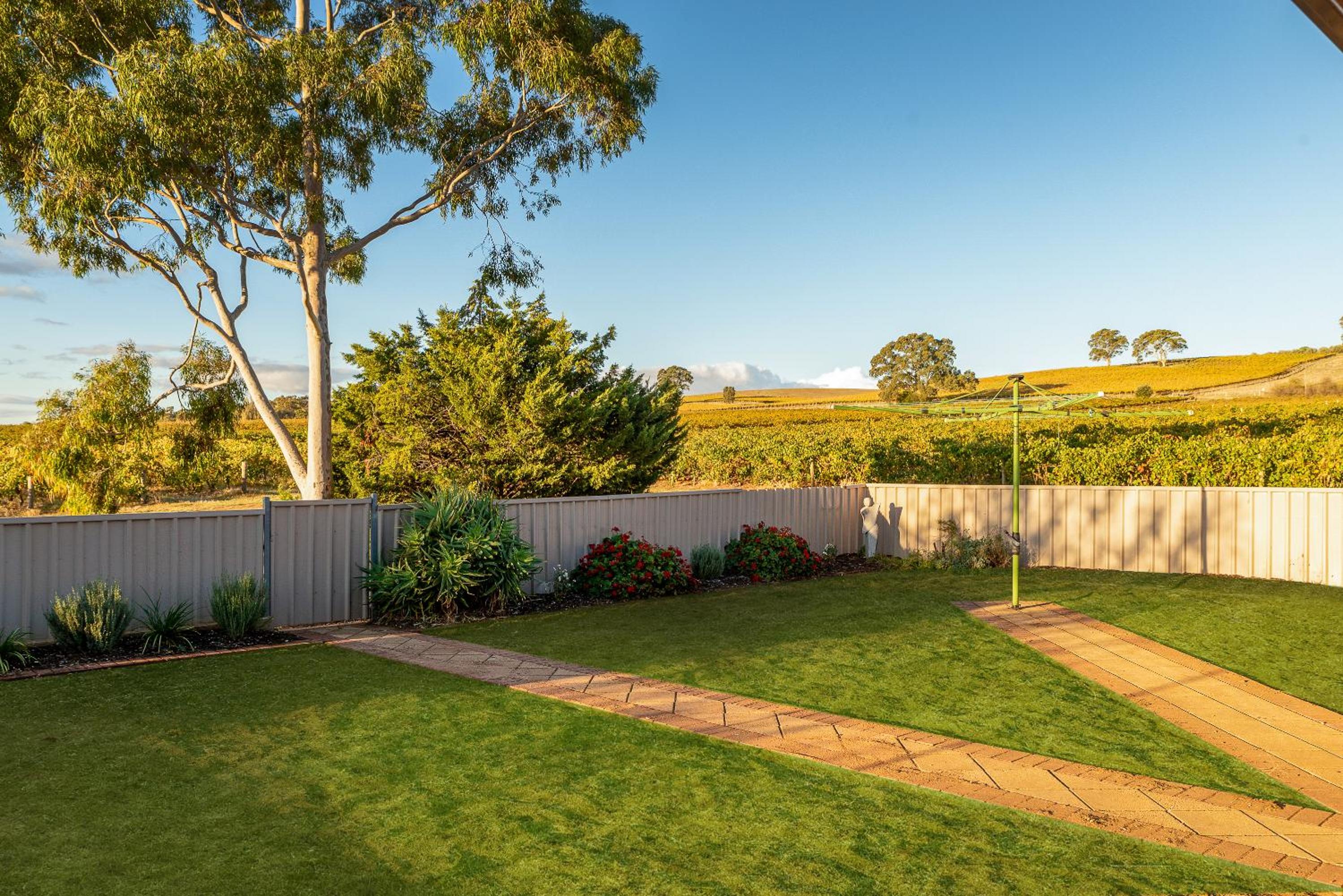 McGill Vineyard Barossa