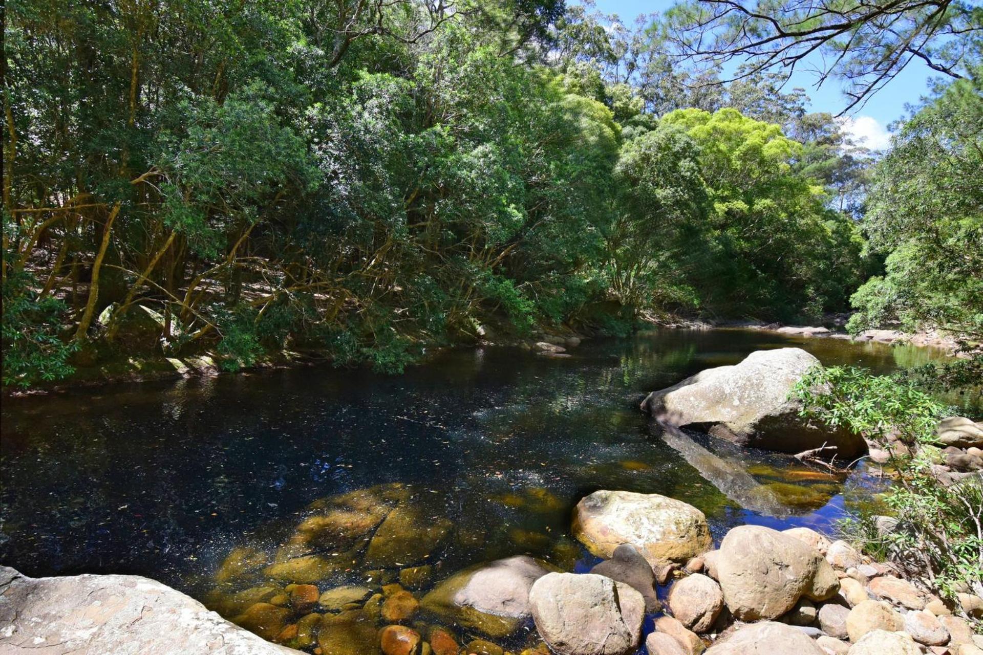 Rainforest River Studio Kangaroo Valley