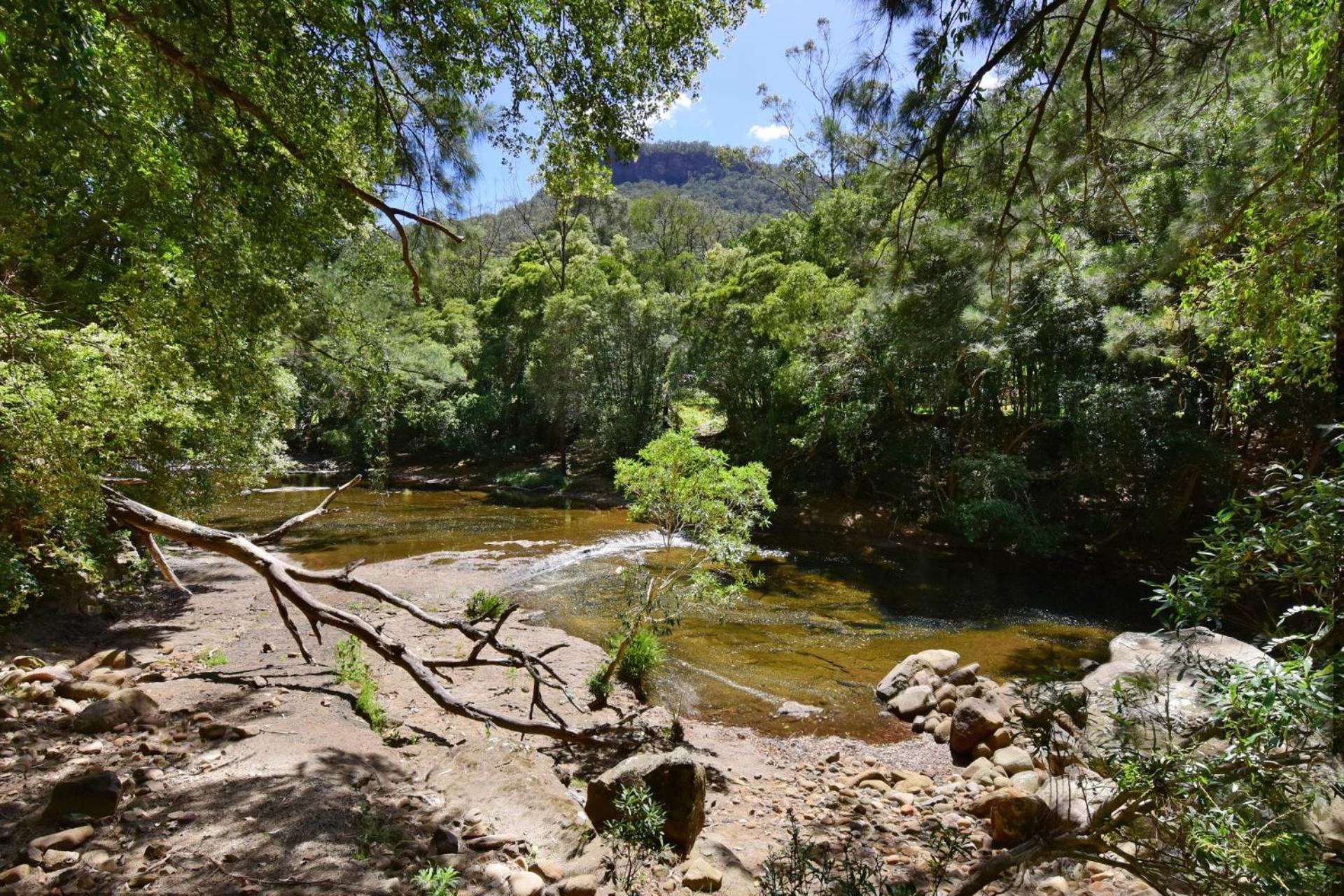 Rainforest River Studio Kangaroo Valley