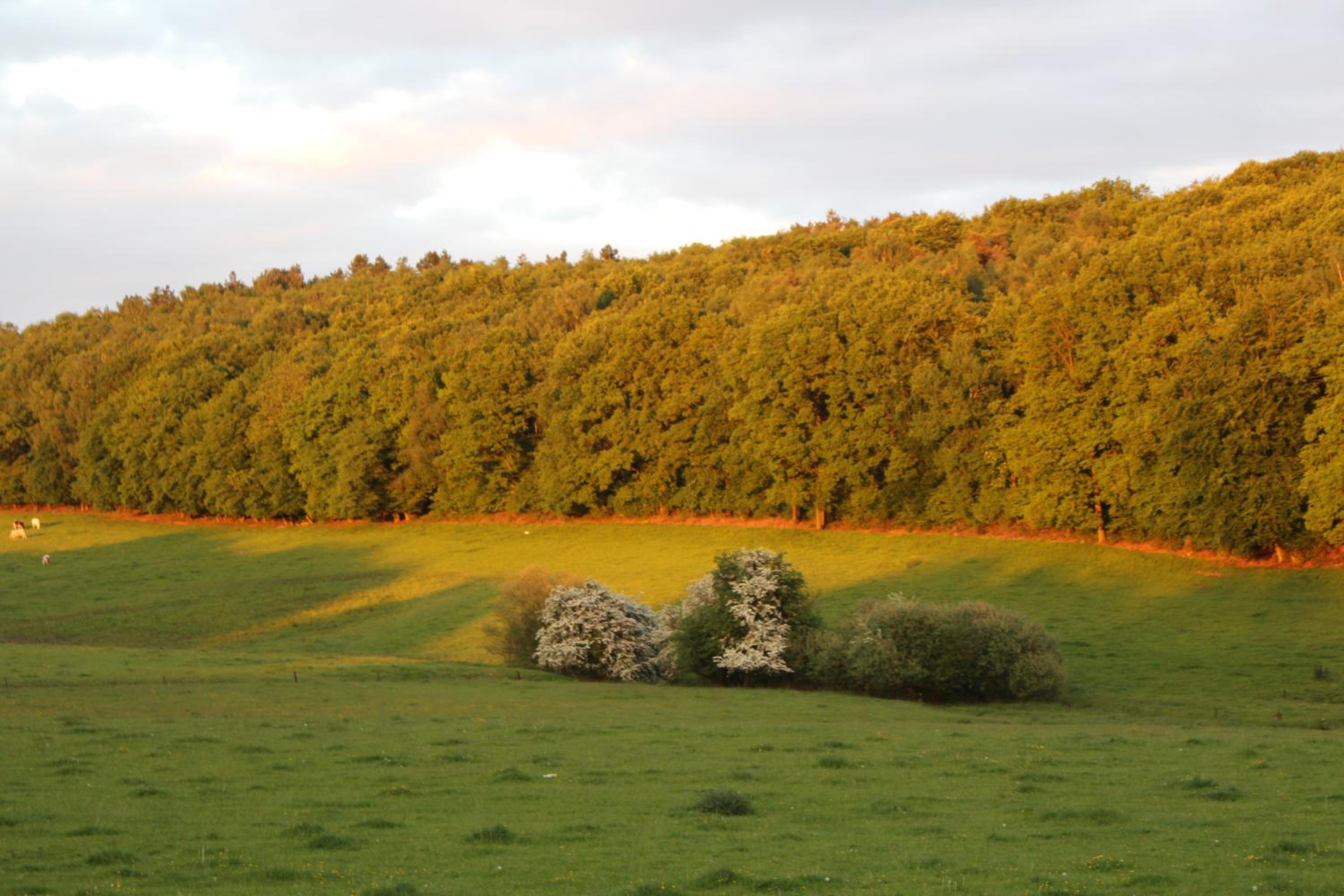Gite de Baive