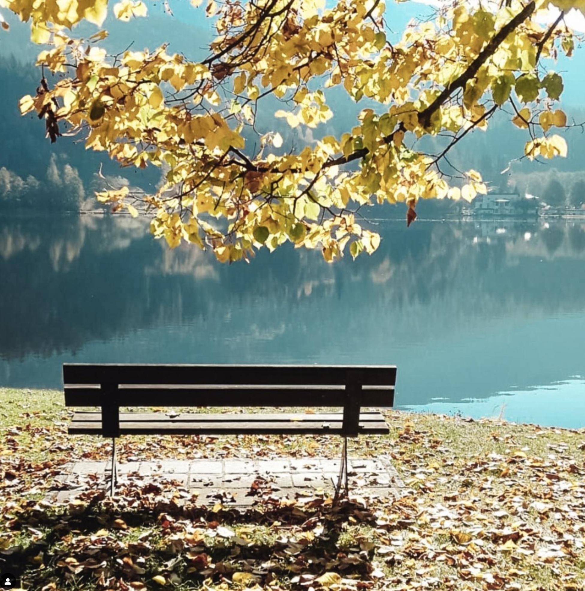 Relax e natura vicino a Trento view 4