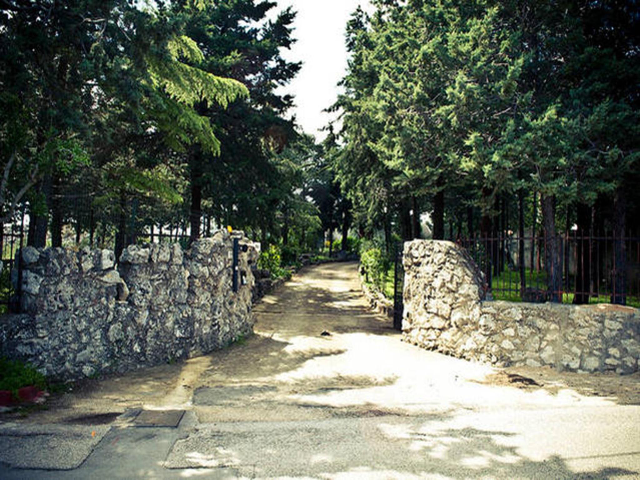 Photo 21