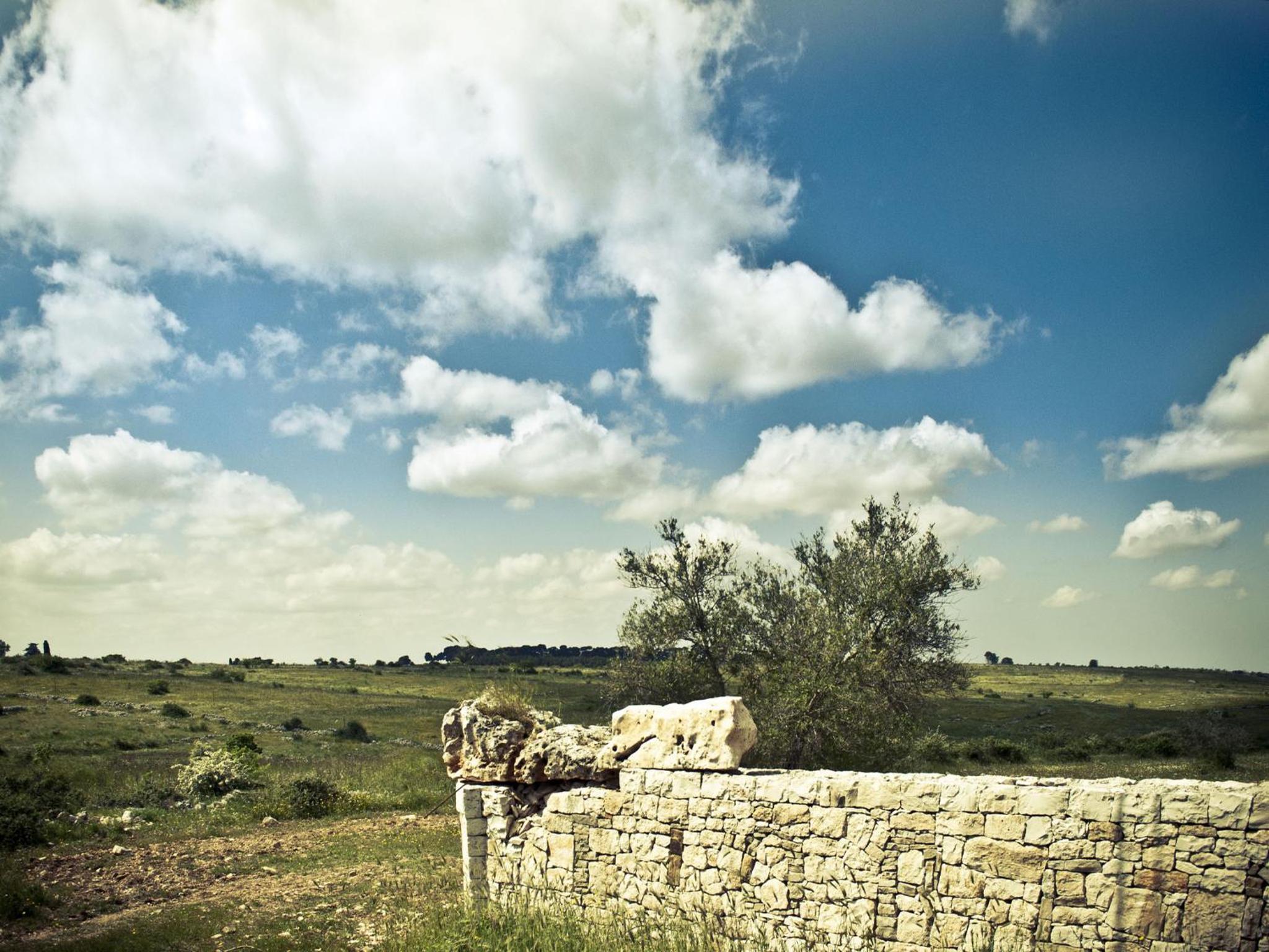 Villa Parco Alta Murgia photo 5