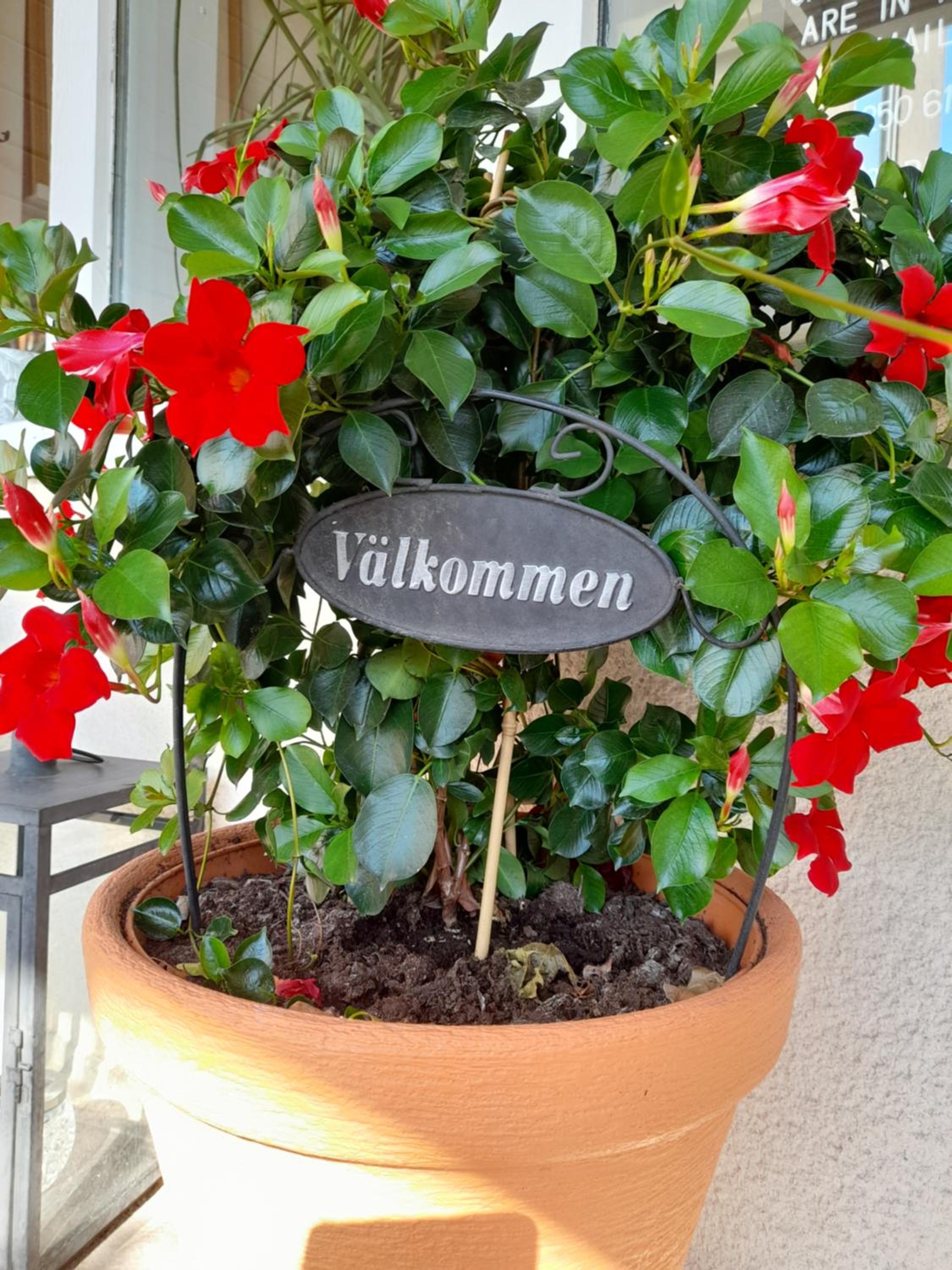 Kristinebergs Bed & Breakfast