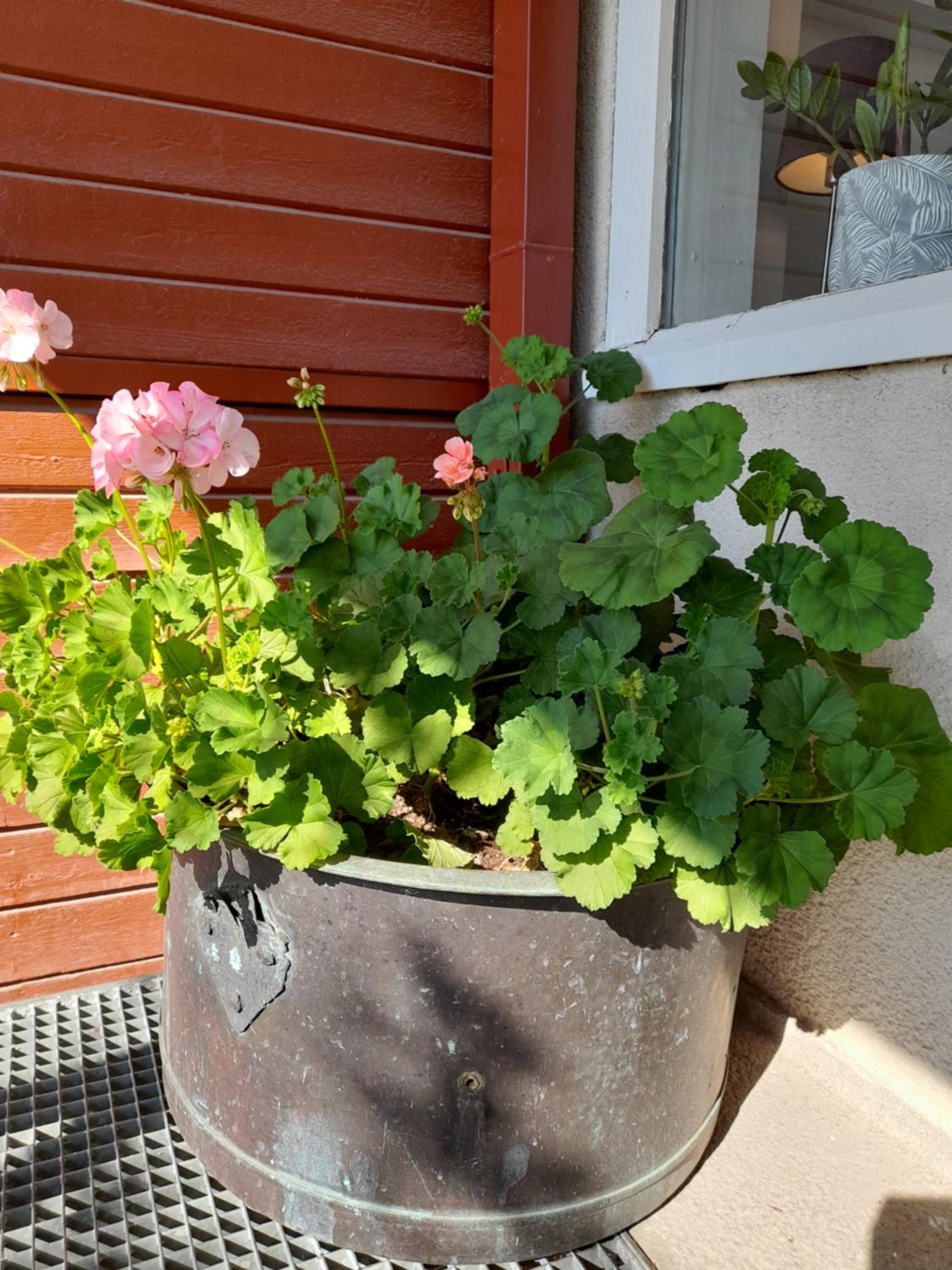 Kristinebergs Bed & Breakfast