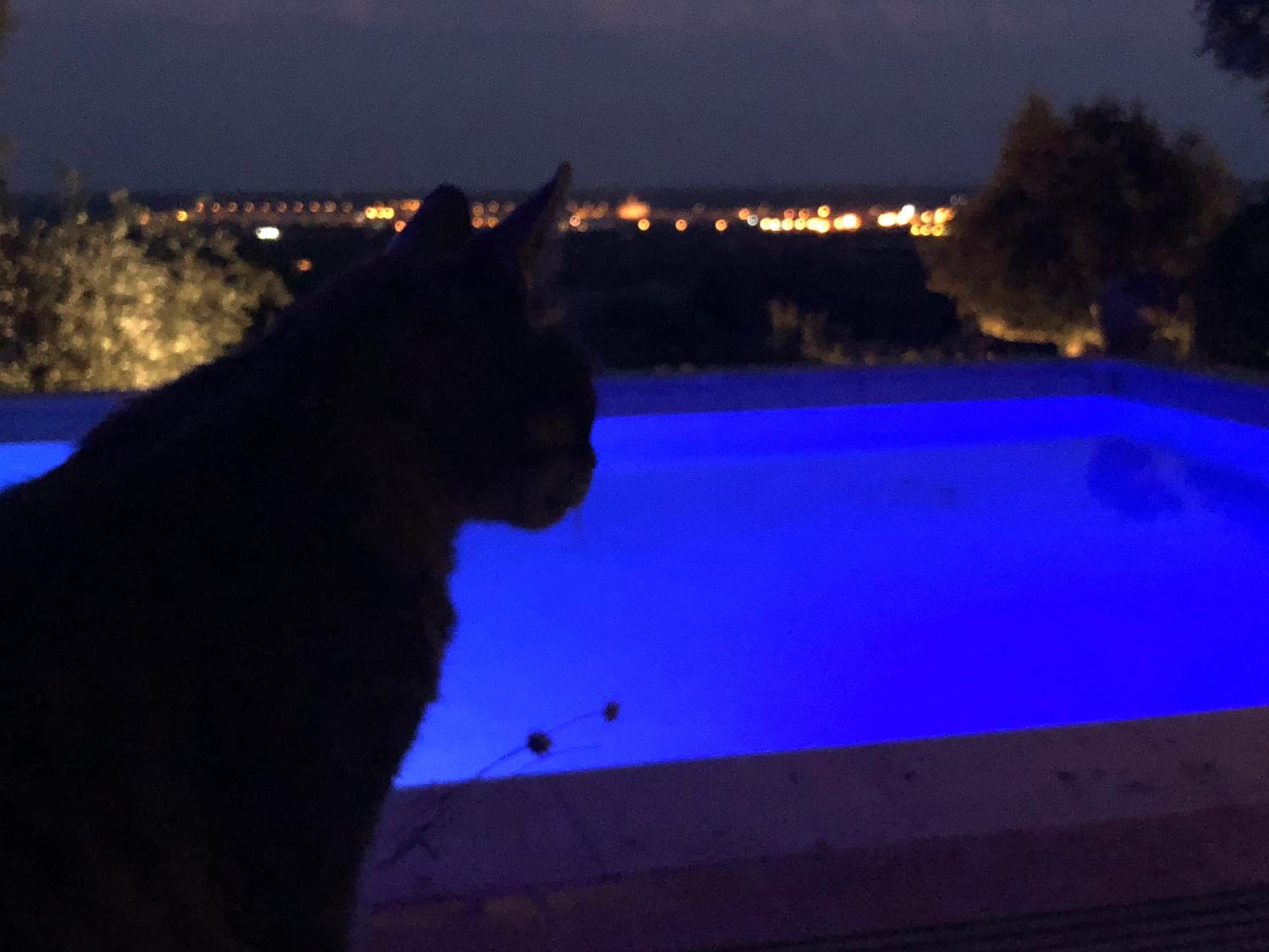 Panorama Finca Ses Bruxes Exklusiv