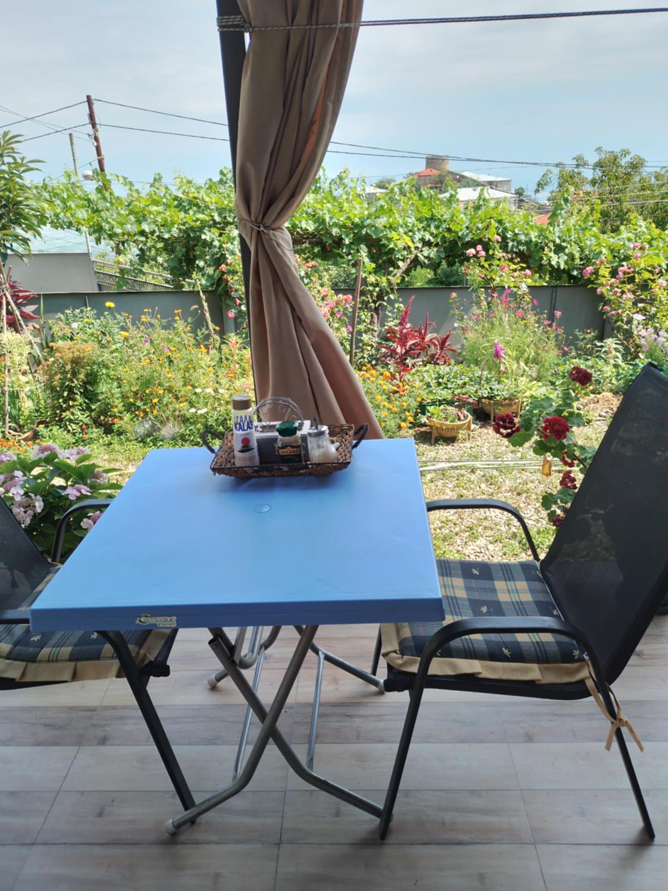 Apartment Giorgi in Sighnaghi view 2